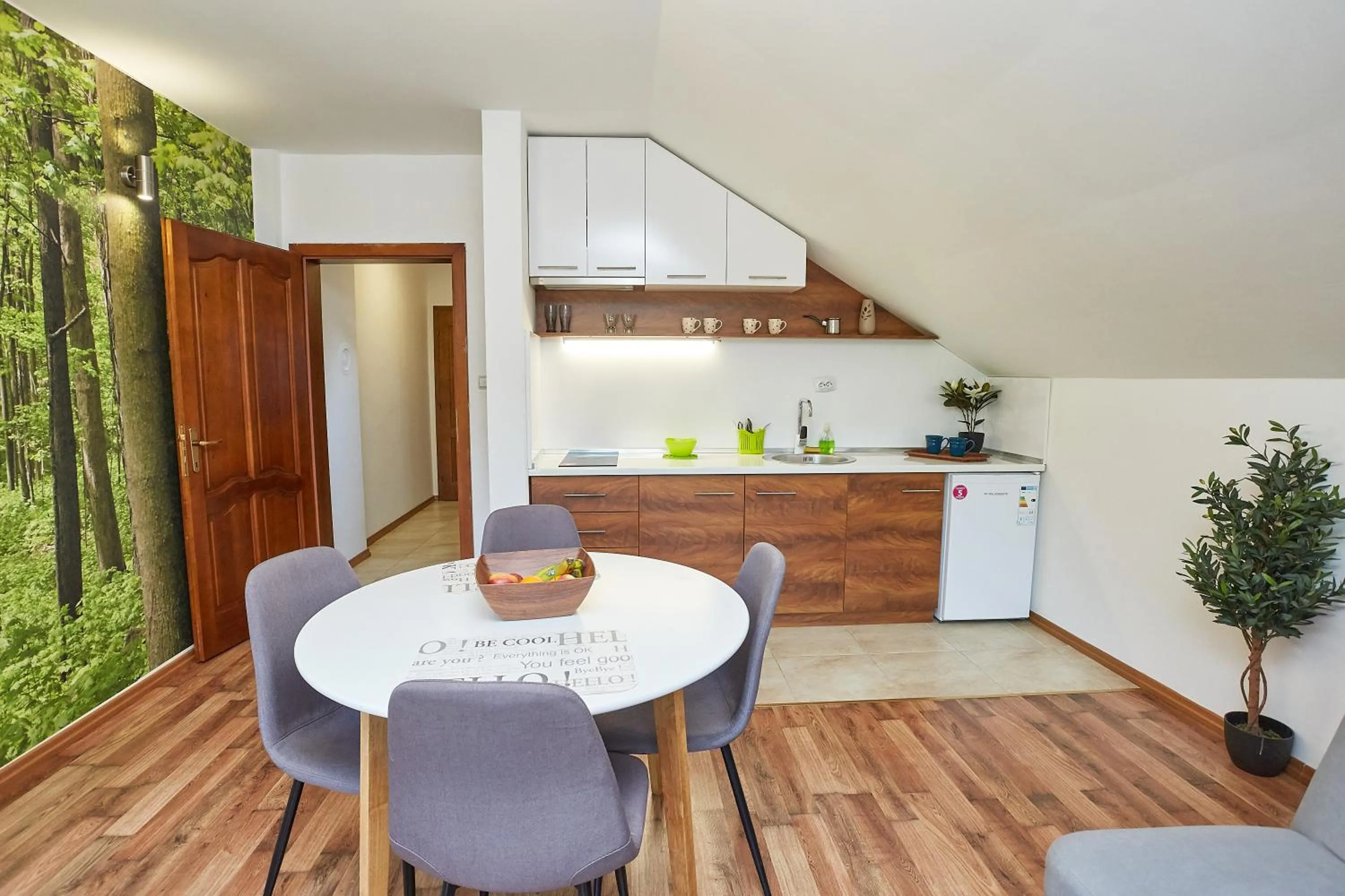 Kitchen or kitchenette in ŽUPAN apartmani
