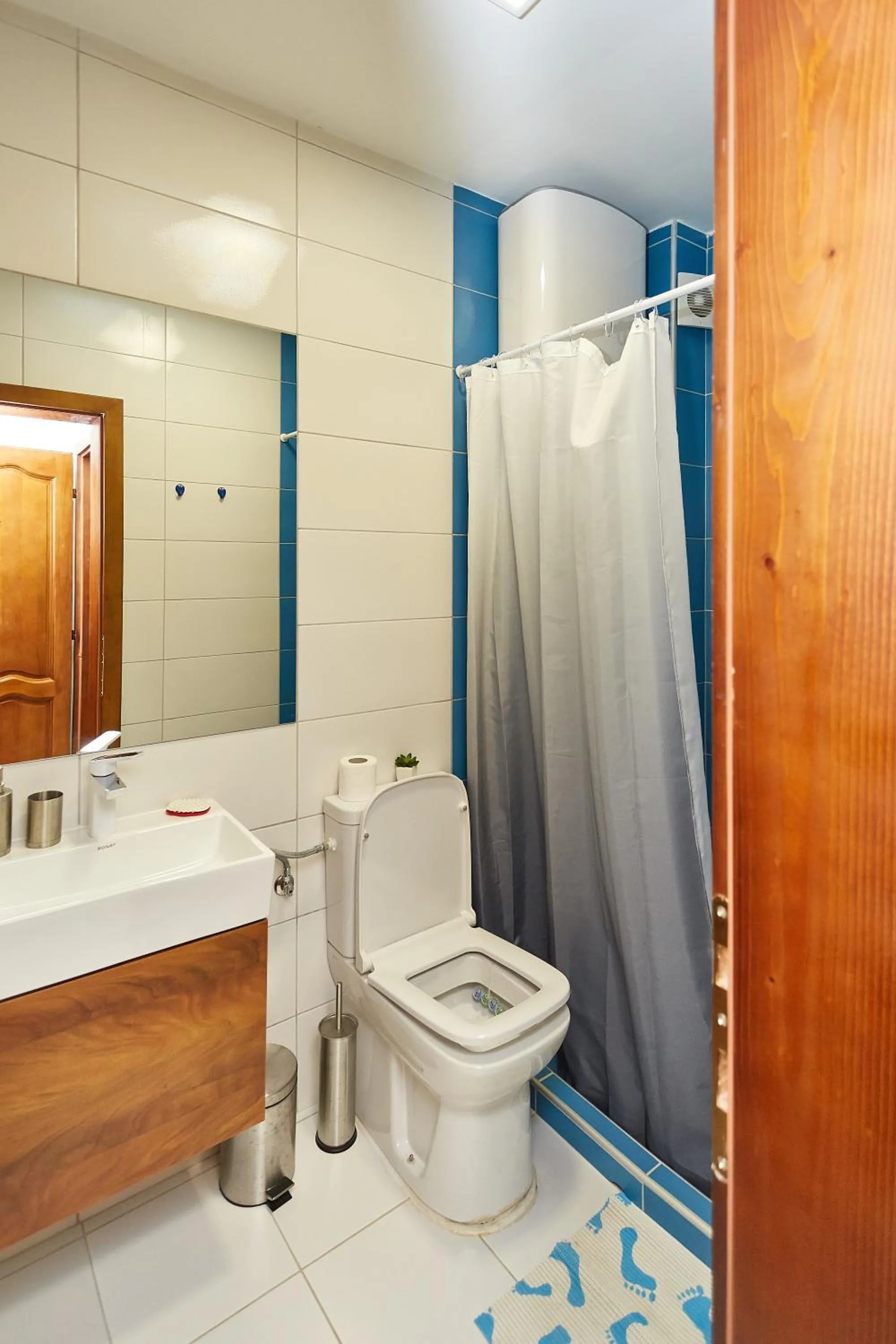 Toilet in ŽUPAN apartmani