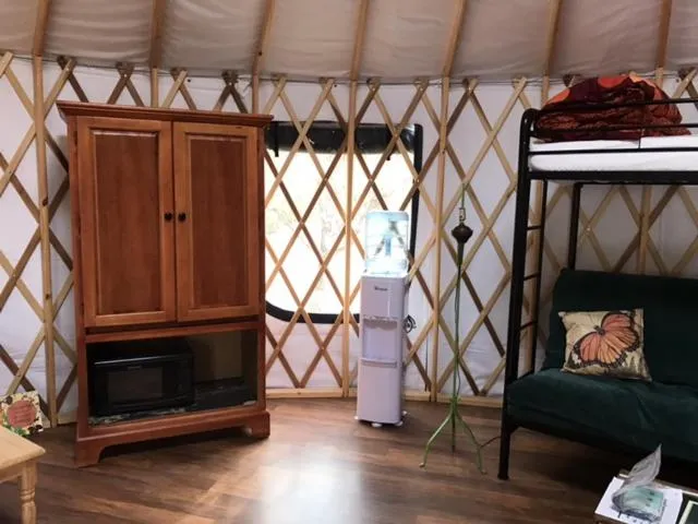 Mountain Springs Cabins