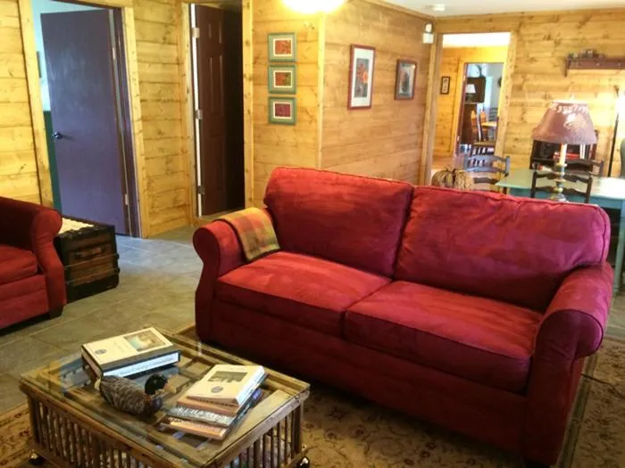 Mountain Springs Cabins