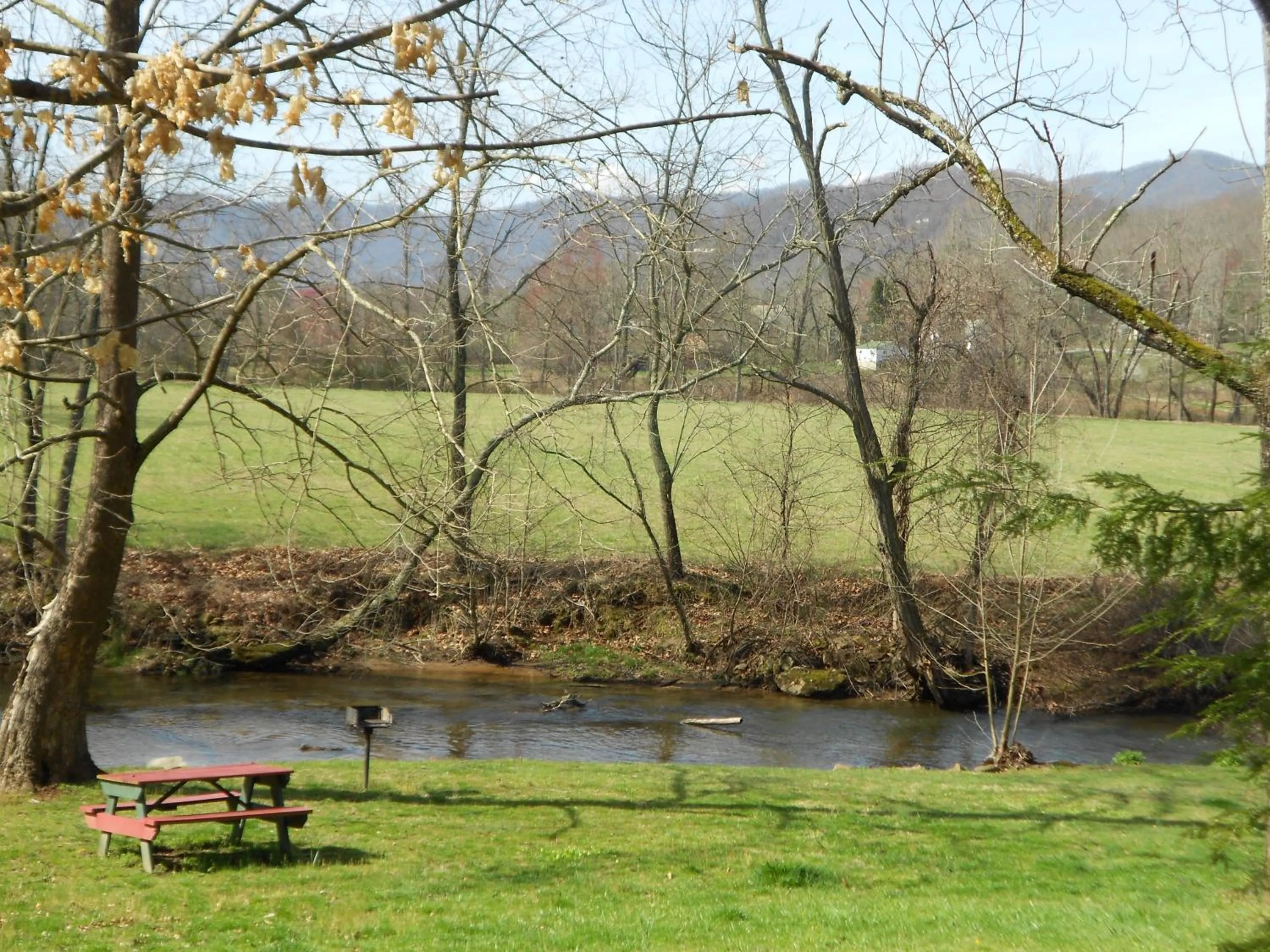 Mountain Springs Cabins