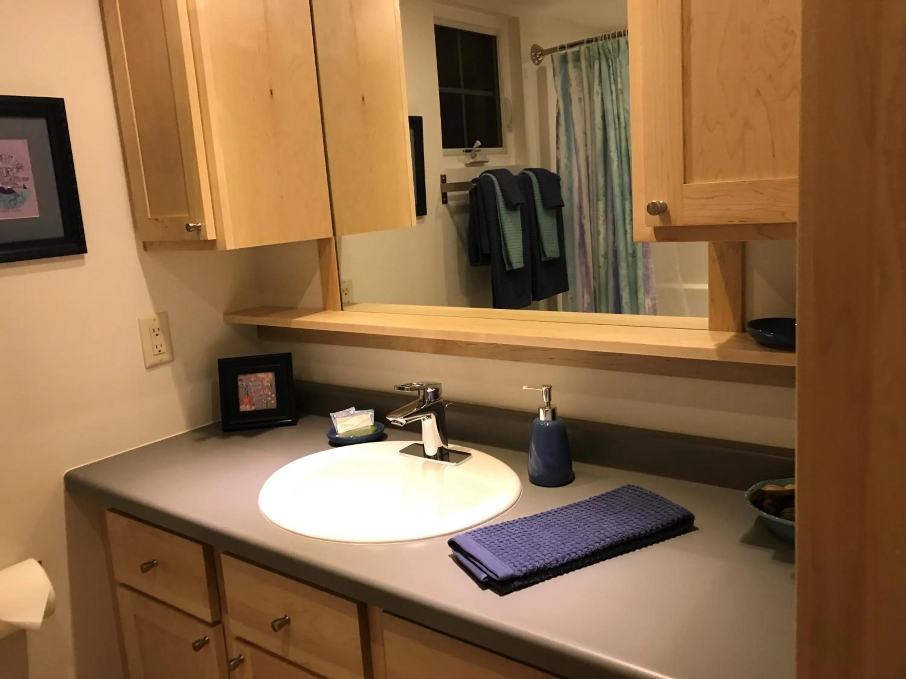 Mountain Springs Cabins