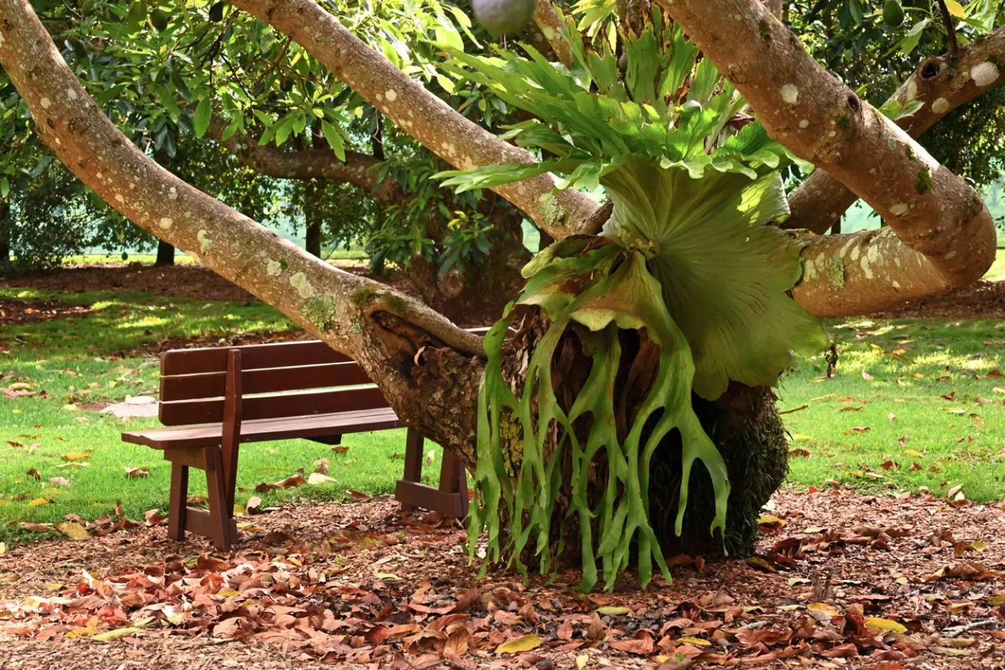 Garden in Camelot Boutique Accommodation