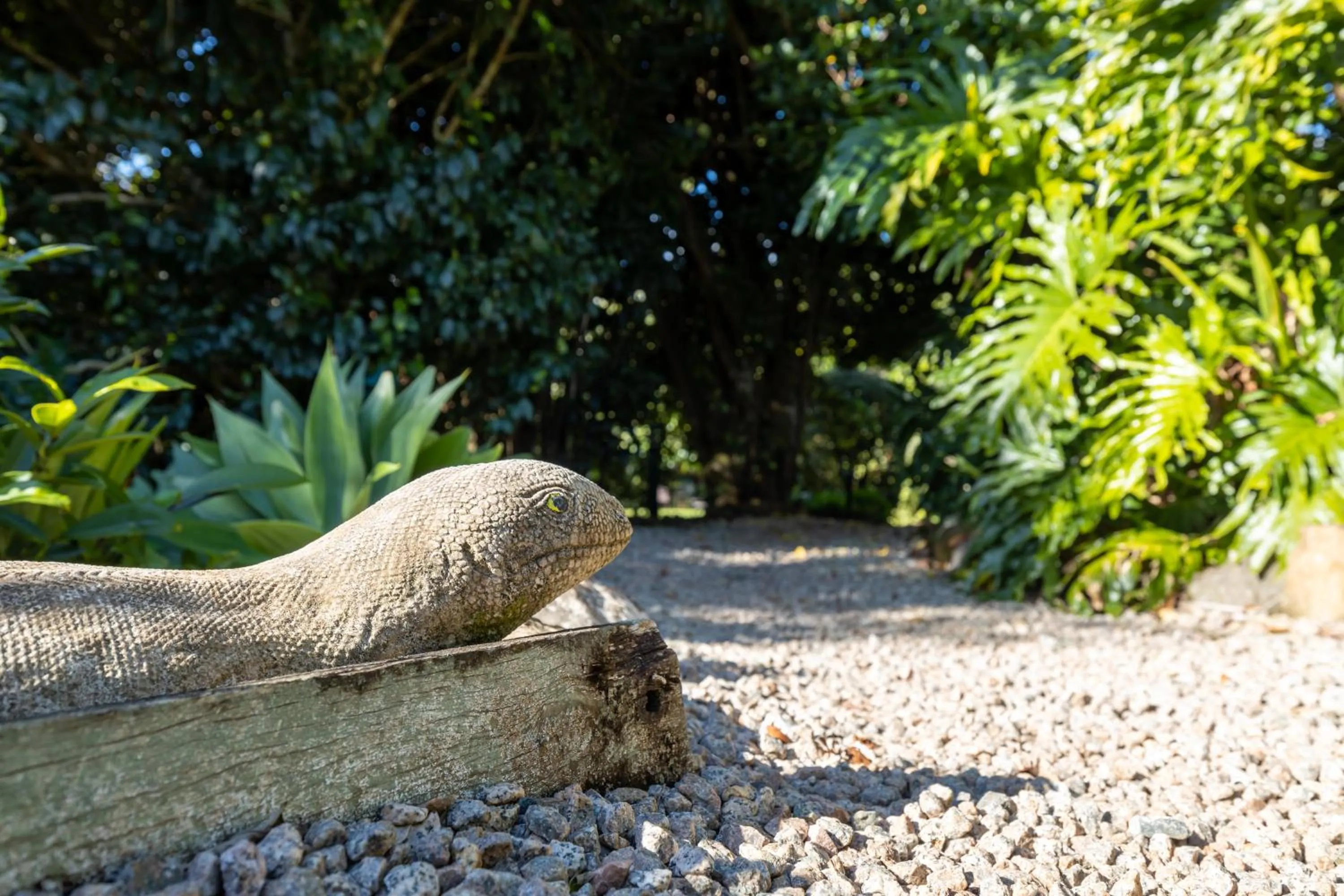 Garden in Camelot Boutique Accommodation