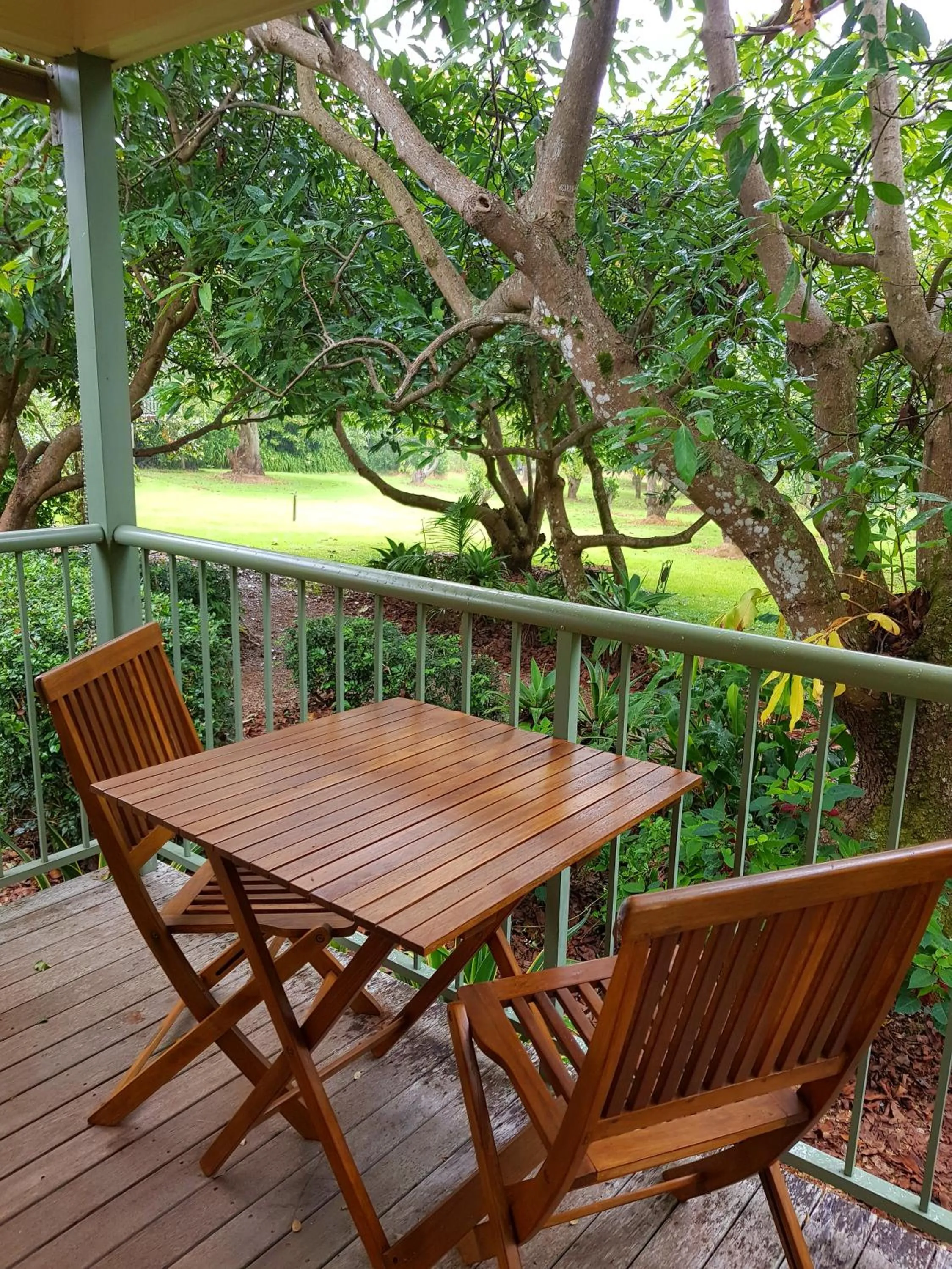 Garden view in Camelot Boutique Accommodation