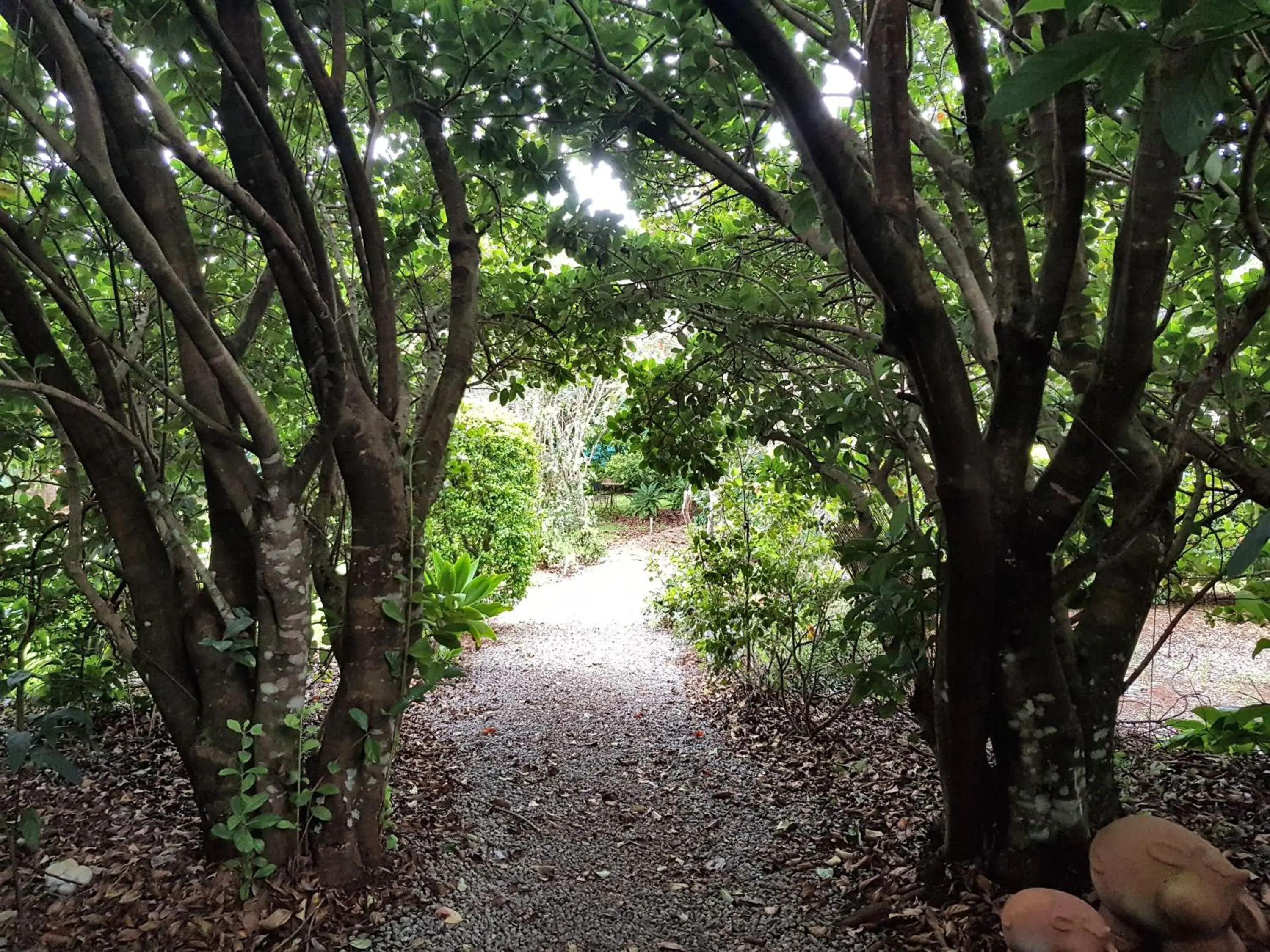 Camelot Boutique Accommodation Camelot Boutique Accommodation