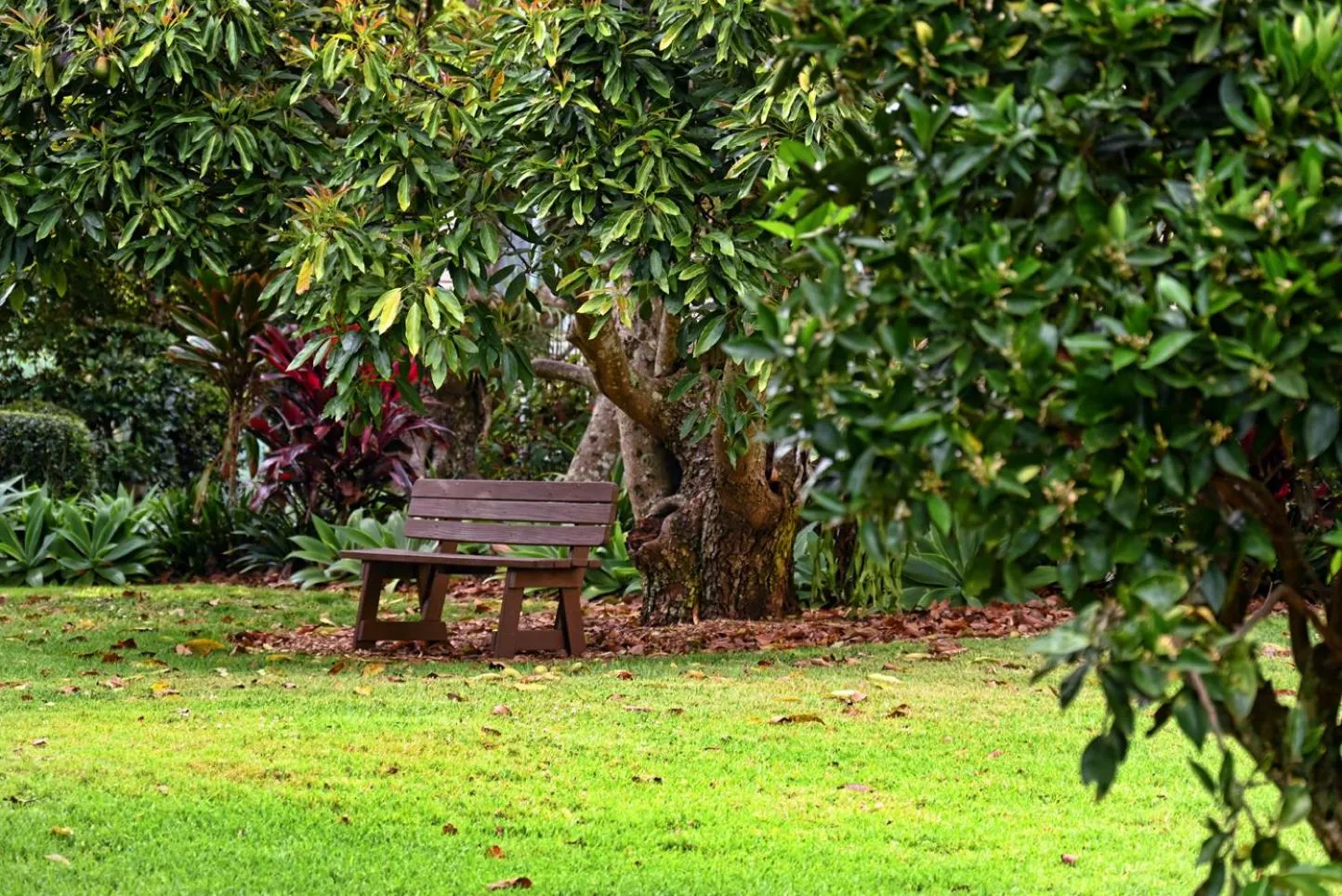 Garden in Camelot Boutique Accommodation