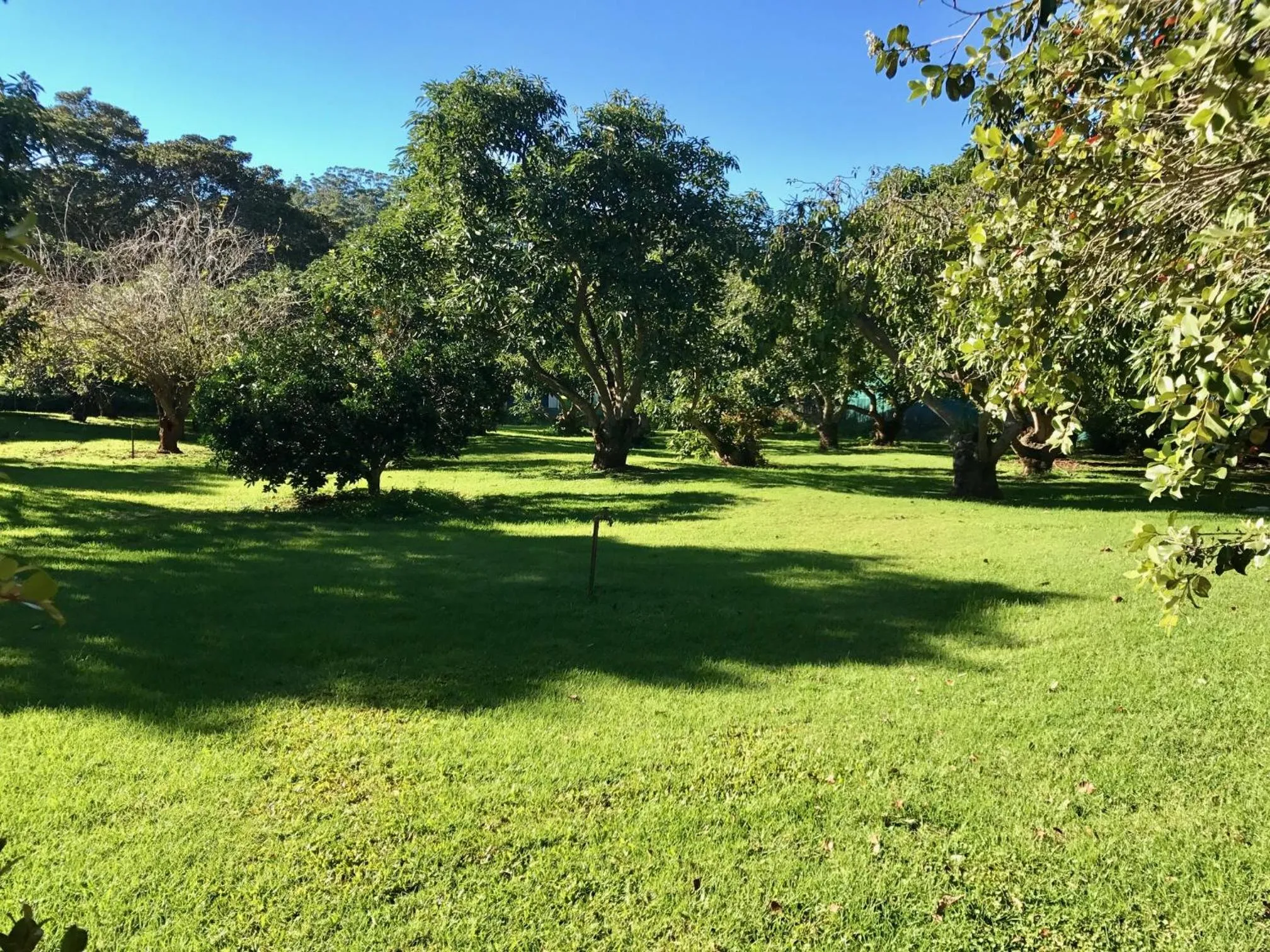 Garden in Camelot Boutique Accommodation