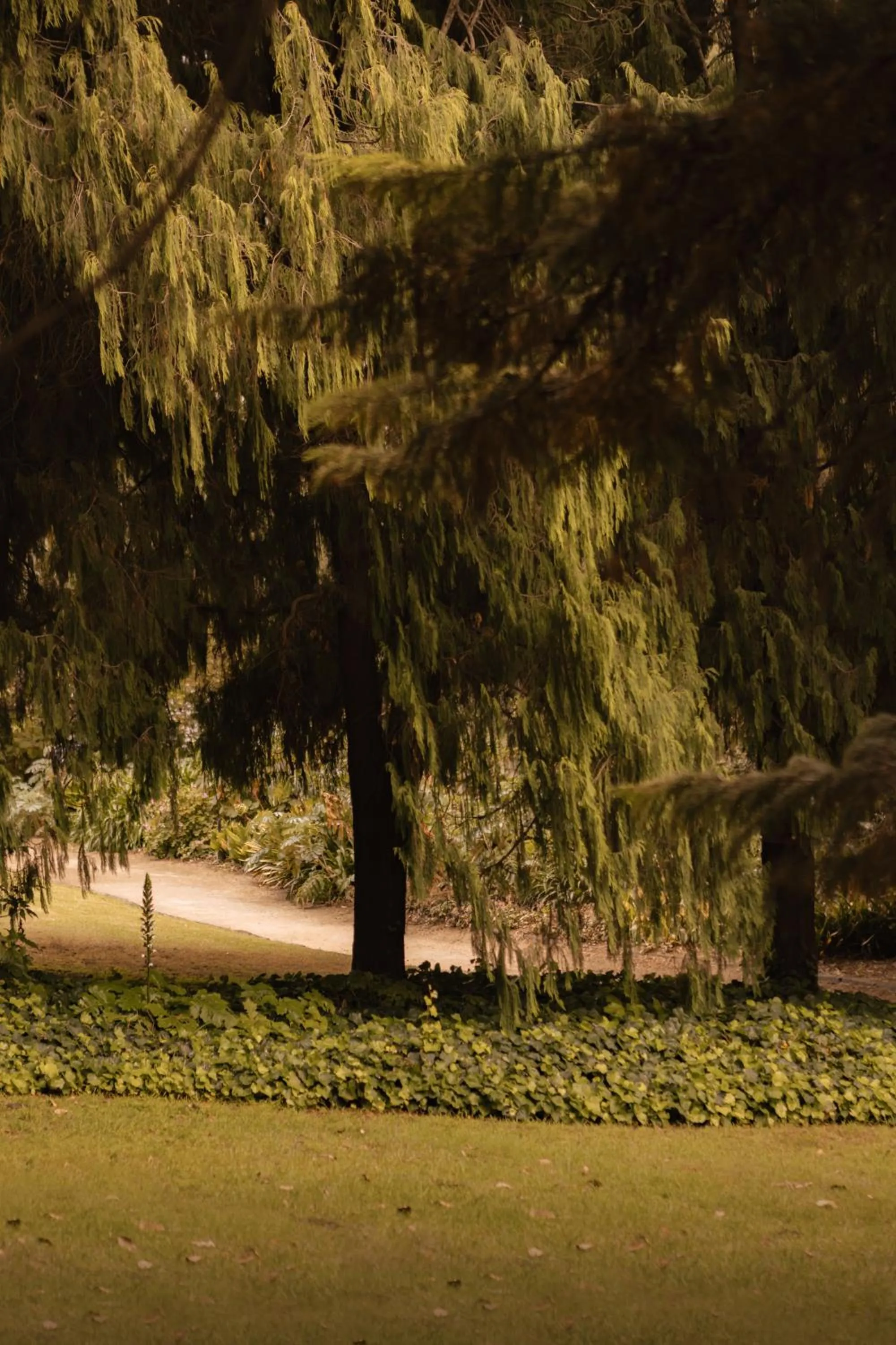 Nearby landmark in MAC South Yarra by Melbourne Apartment Collection