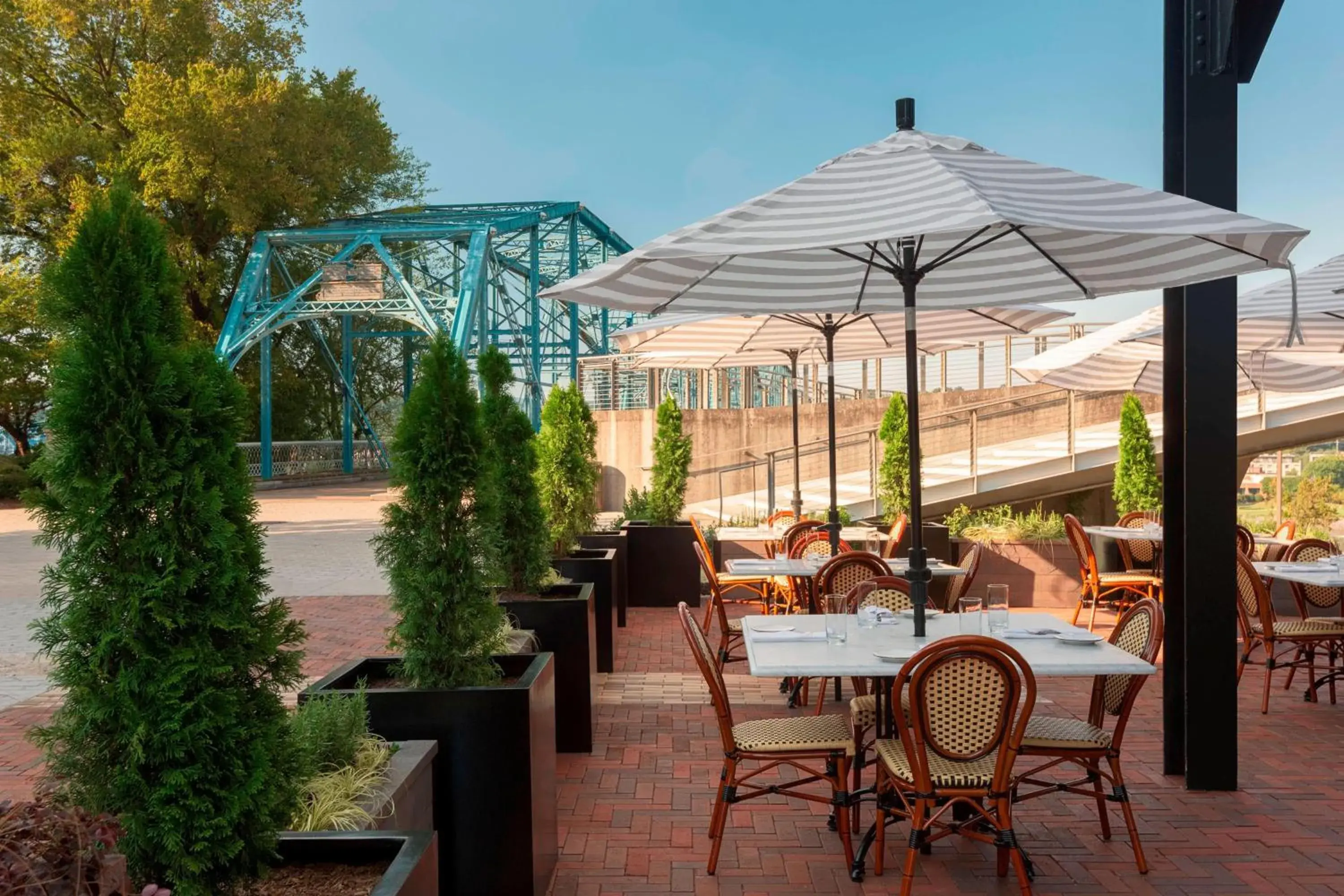 Restaurant/places to eat in The Edwin Hotel, Autograph Collection Restaurant/places to eat in The Edwin Hotel, Autograph Collection