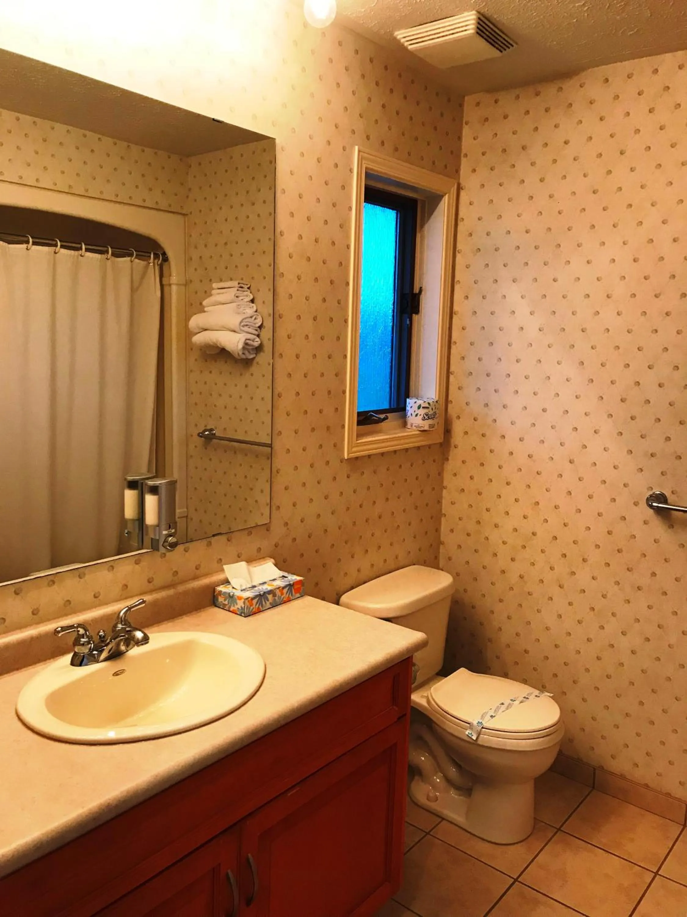 Toilet in Country Inn Listowel