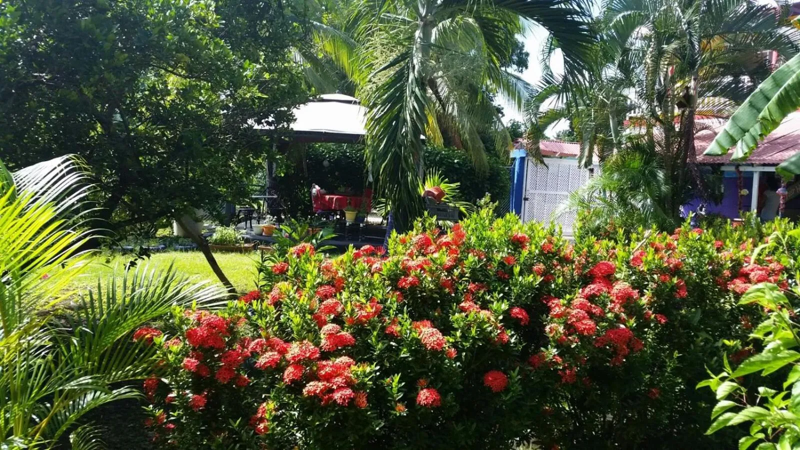 Garden in Posada Nativa Licy
