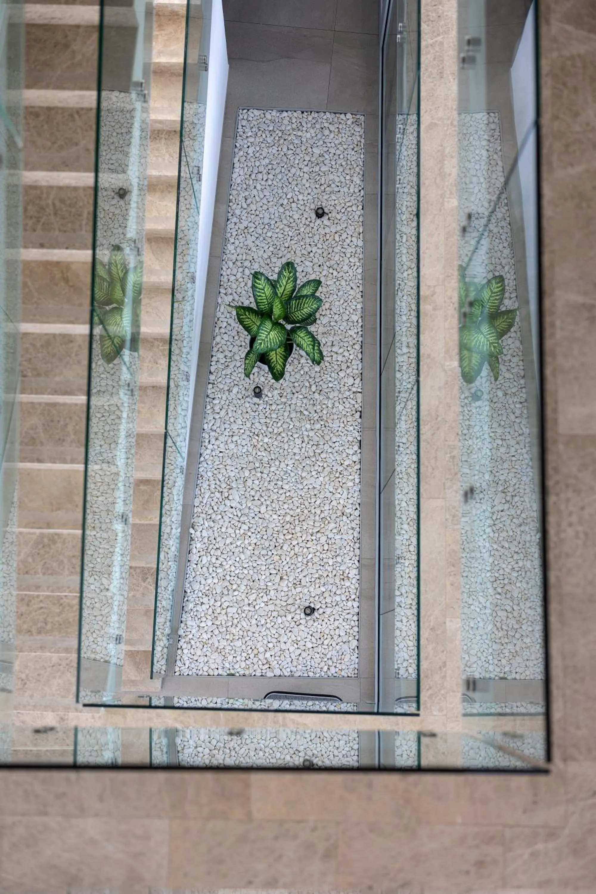 Lobby or reception in Aparthotel Joel