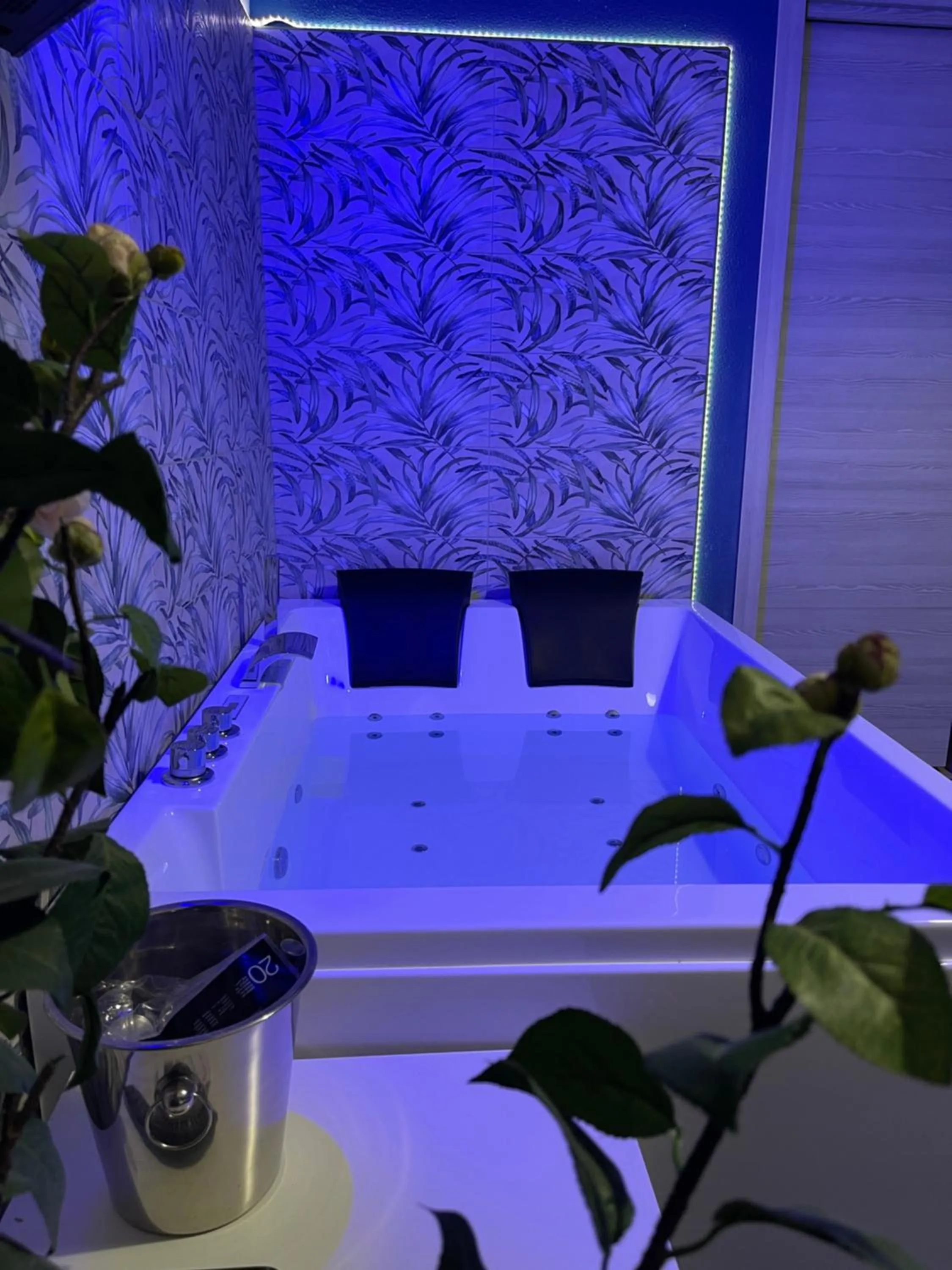 Hot Tub, Bed in Etnea Glamour House