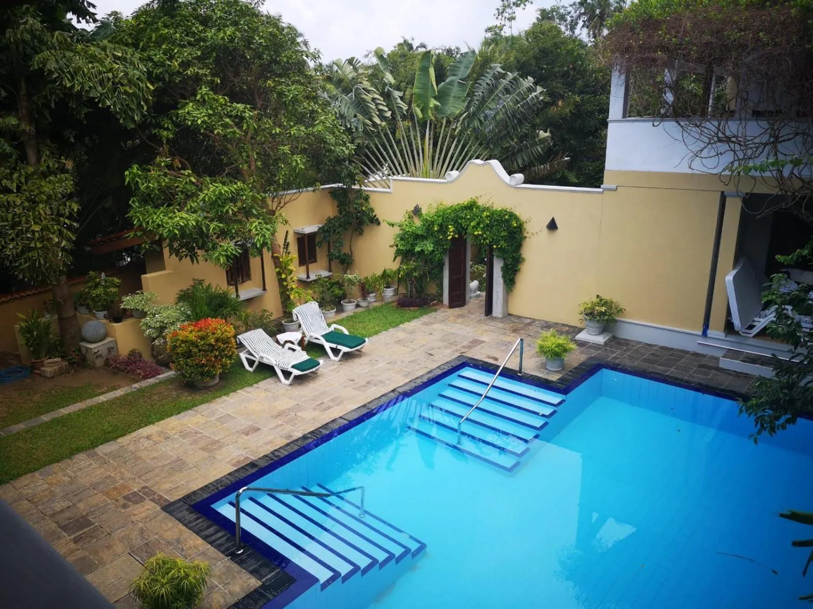 Swimming pool in Villa Tara