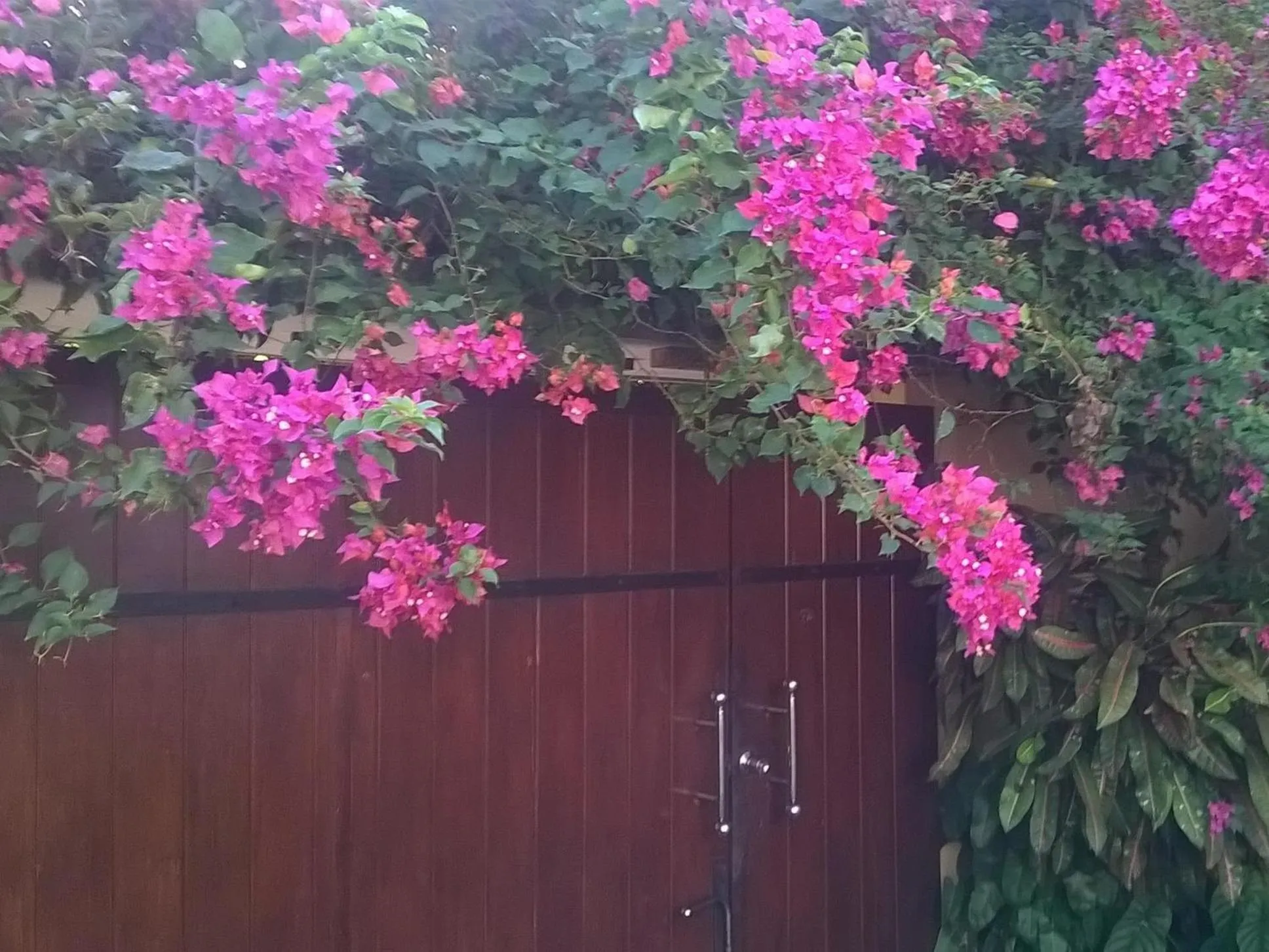 Facade/entrance in Villa Tara