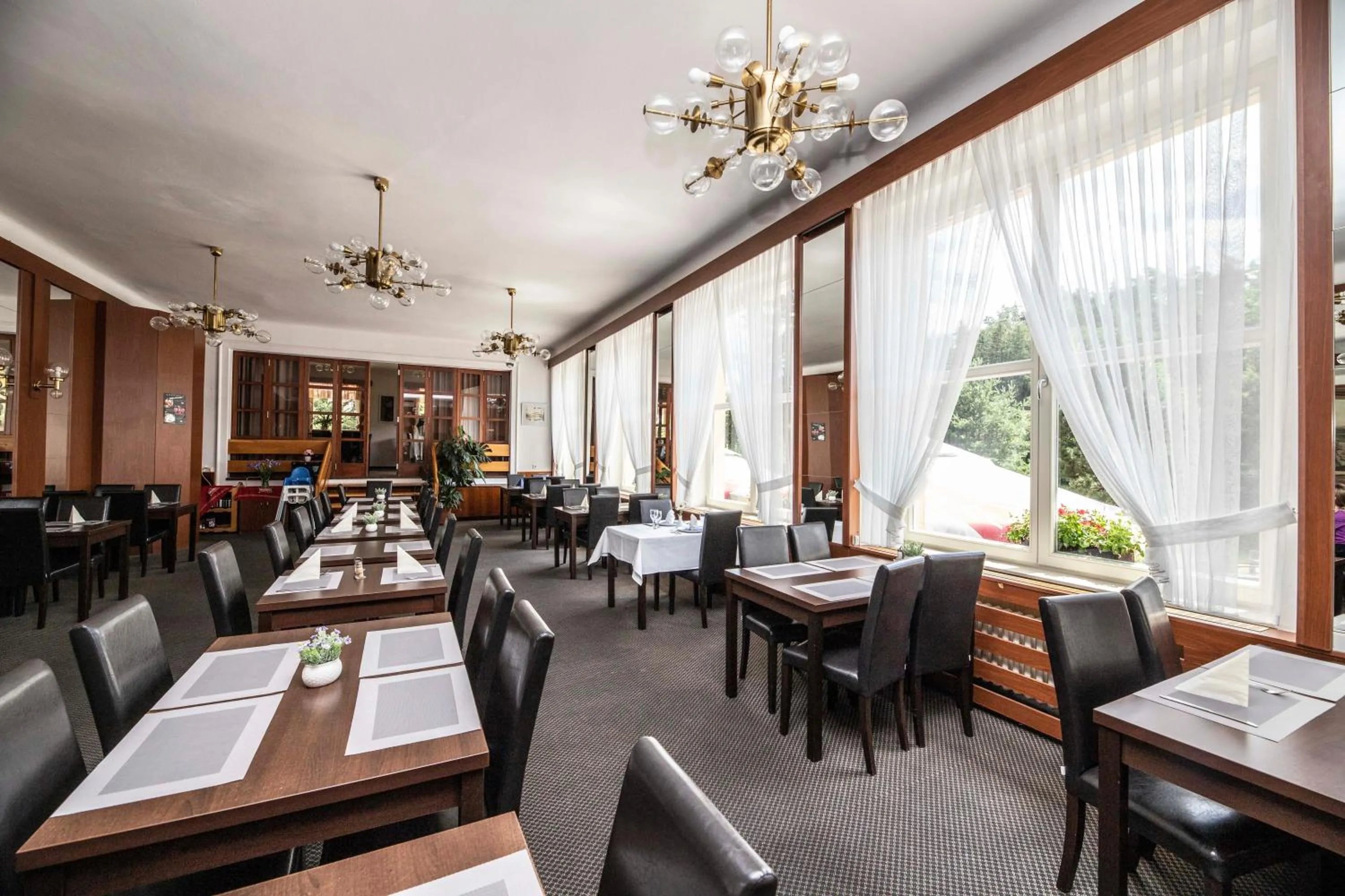 Restaurant/places to eat in Parkhotel Skalní město