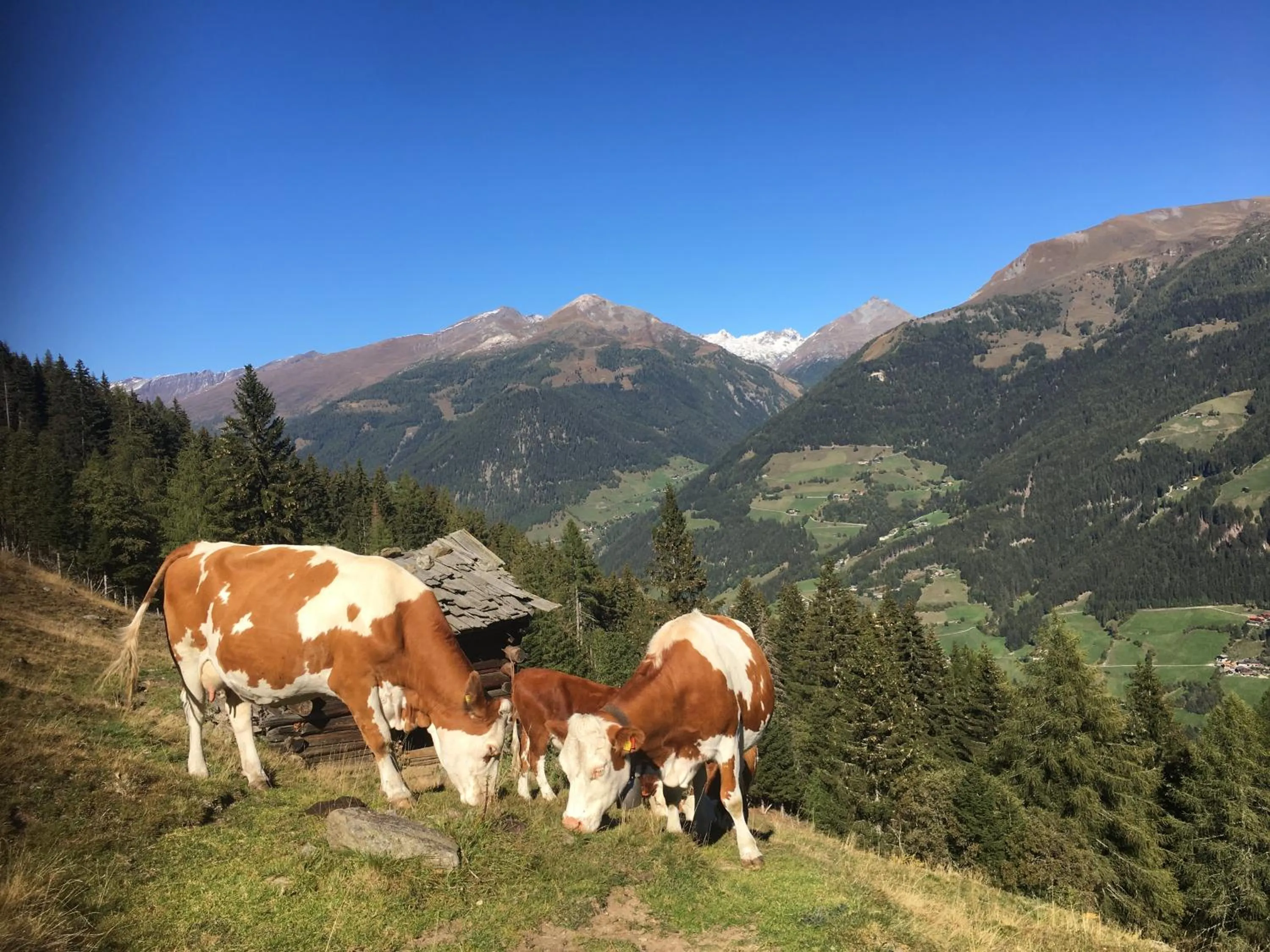 Off site in Ferienwohnung Suntinger