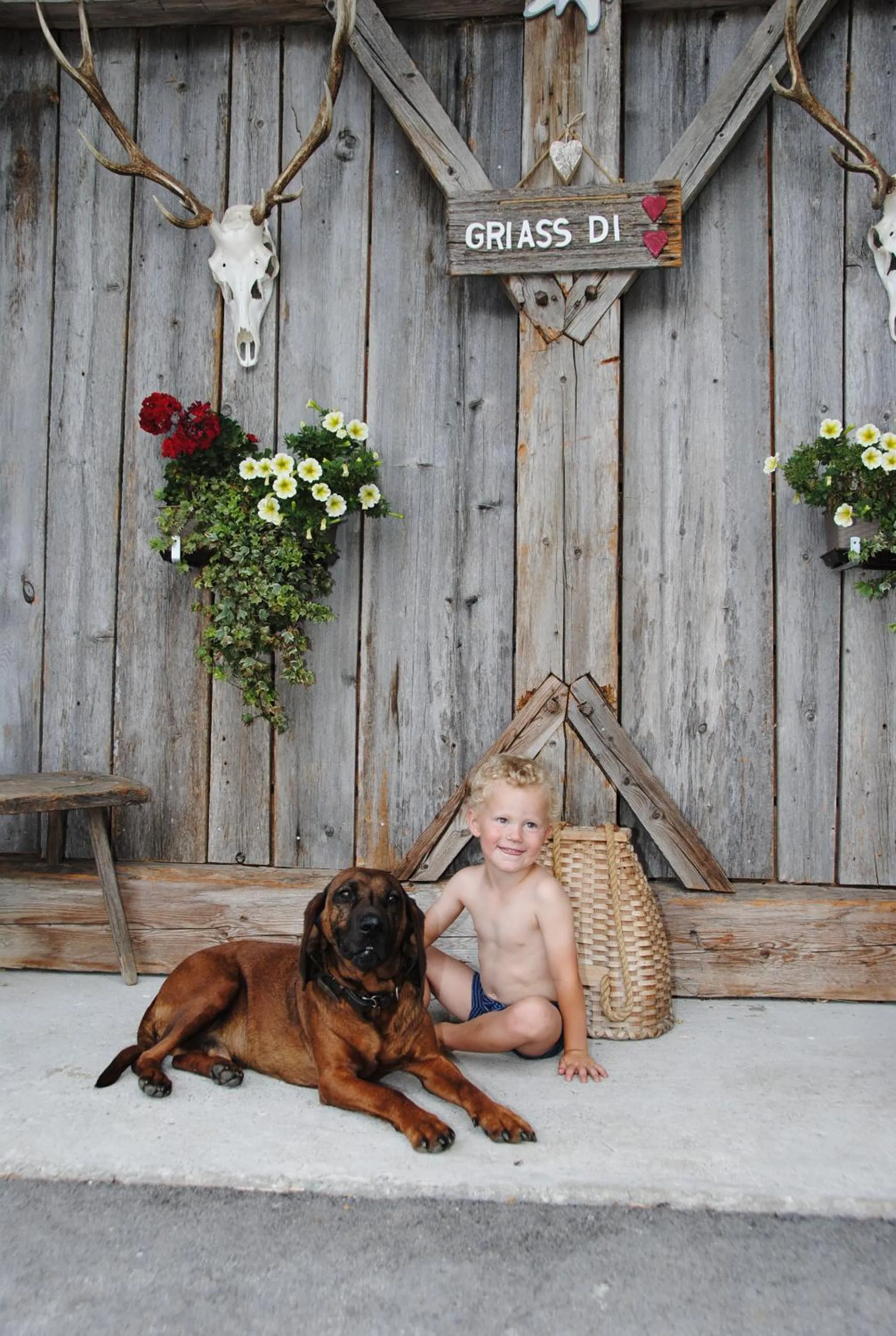 Logo/Certificate/Sign in Ferienwohnung Suntinger