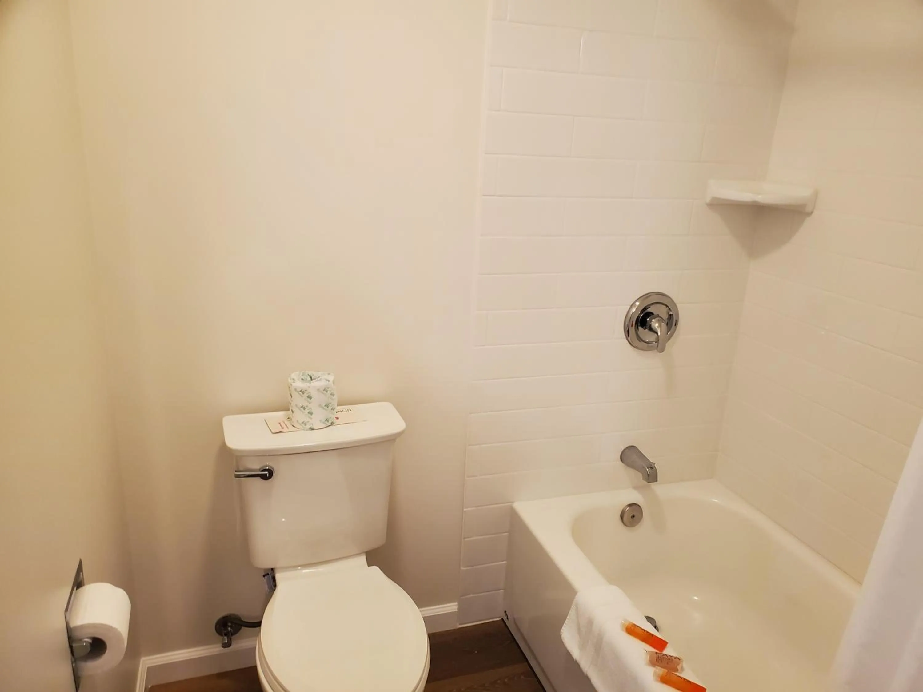 Toilet in Hiouchi Motel