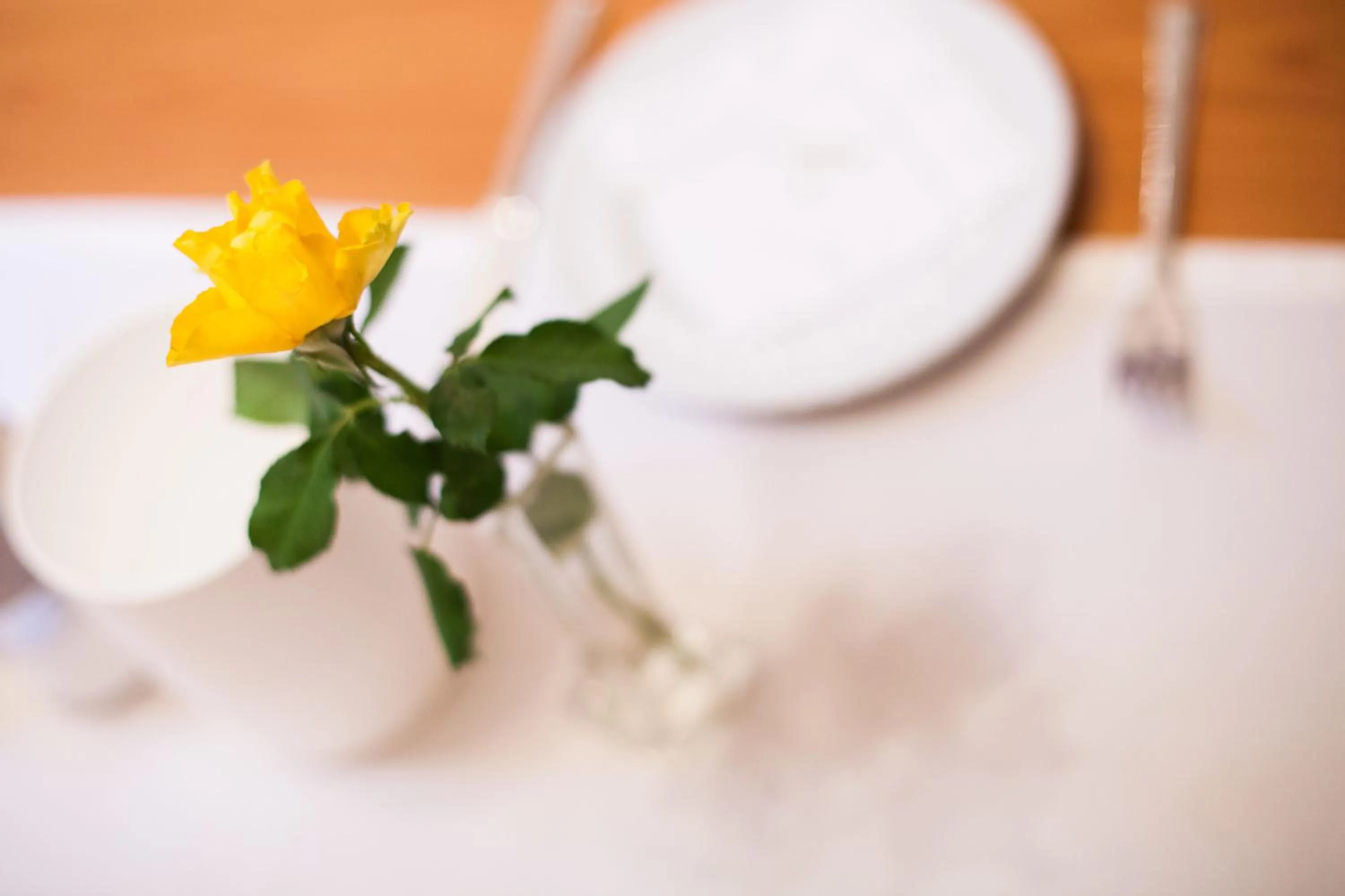 Area and facilities in Hotel Vier Jahreszeiten