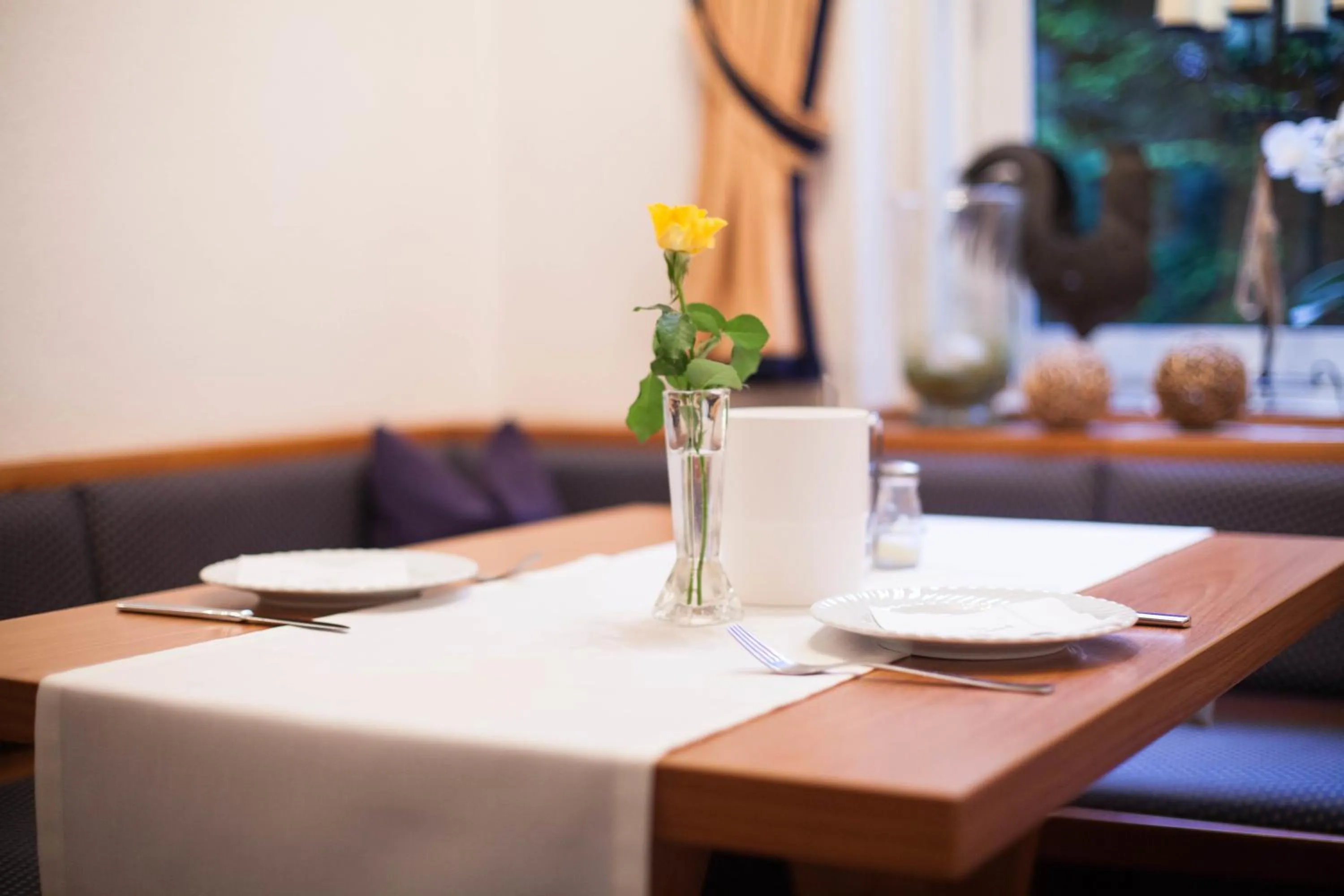 Area and facilities in Hotel Vier Jahreszeiten