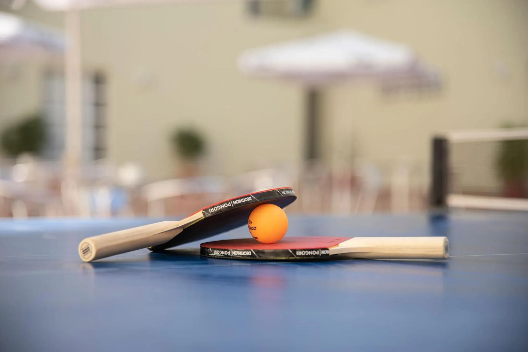 Entertainment, Billiards in Ele Andarax