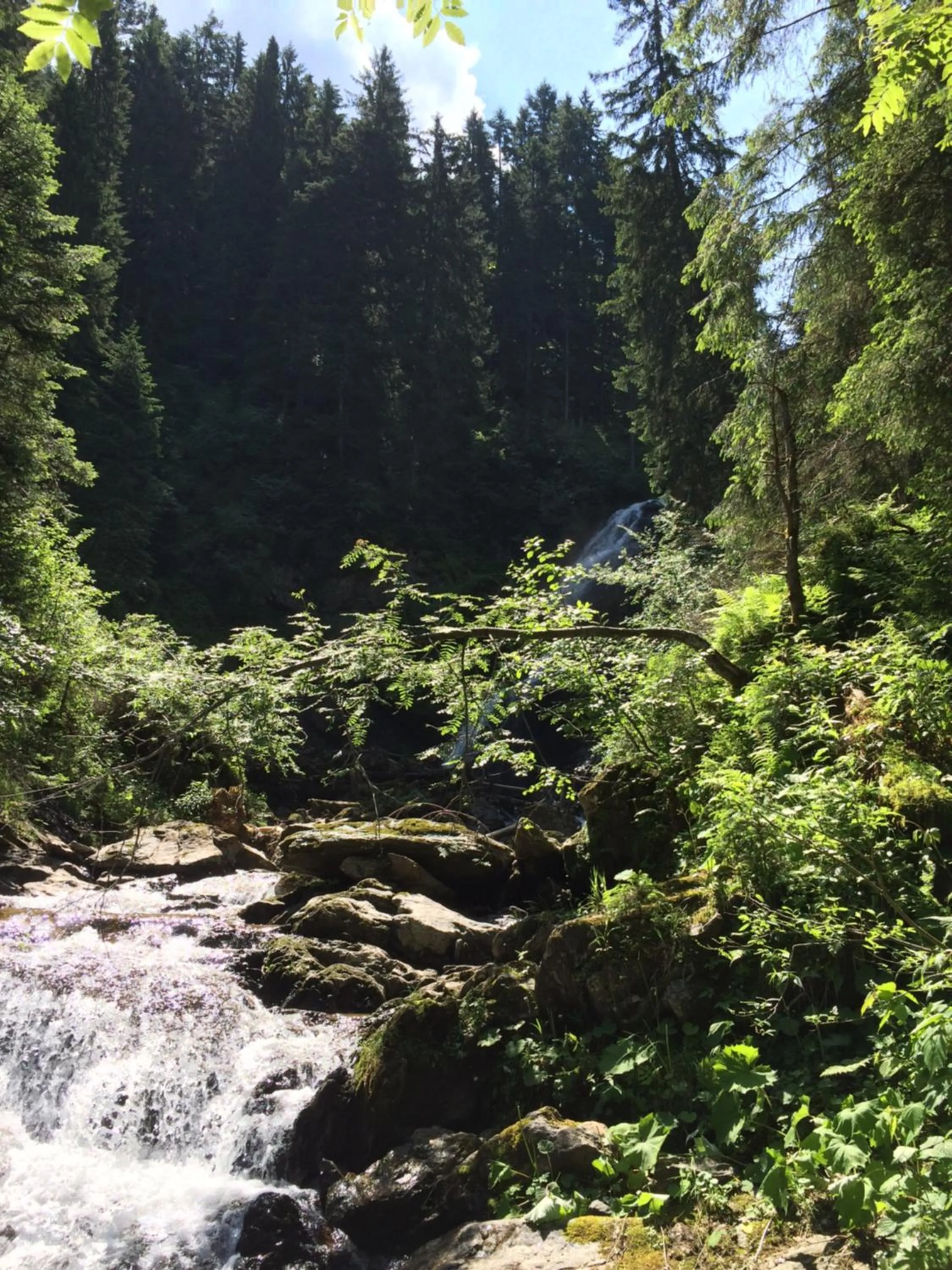 Hiking in Hotel Post