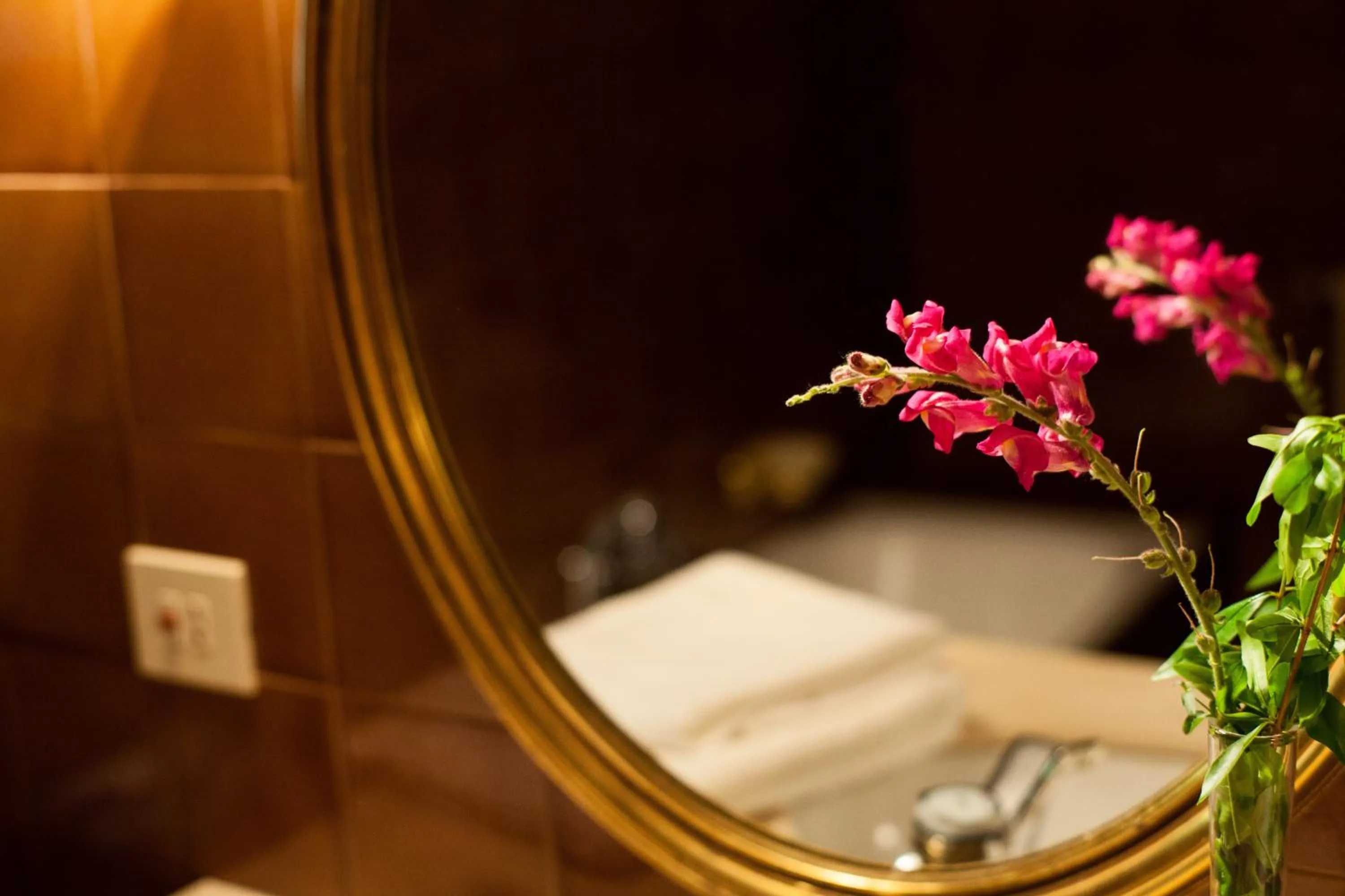 Toilet in Masia Can Pou