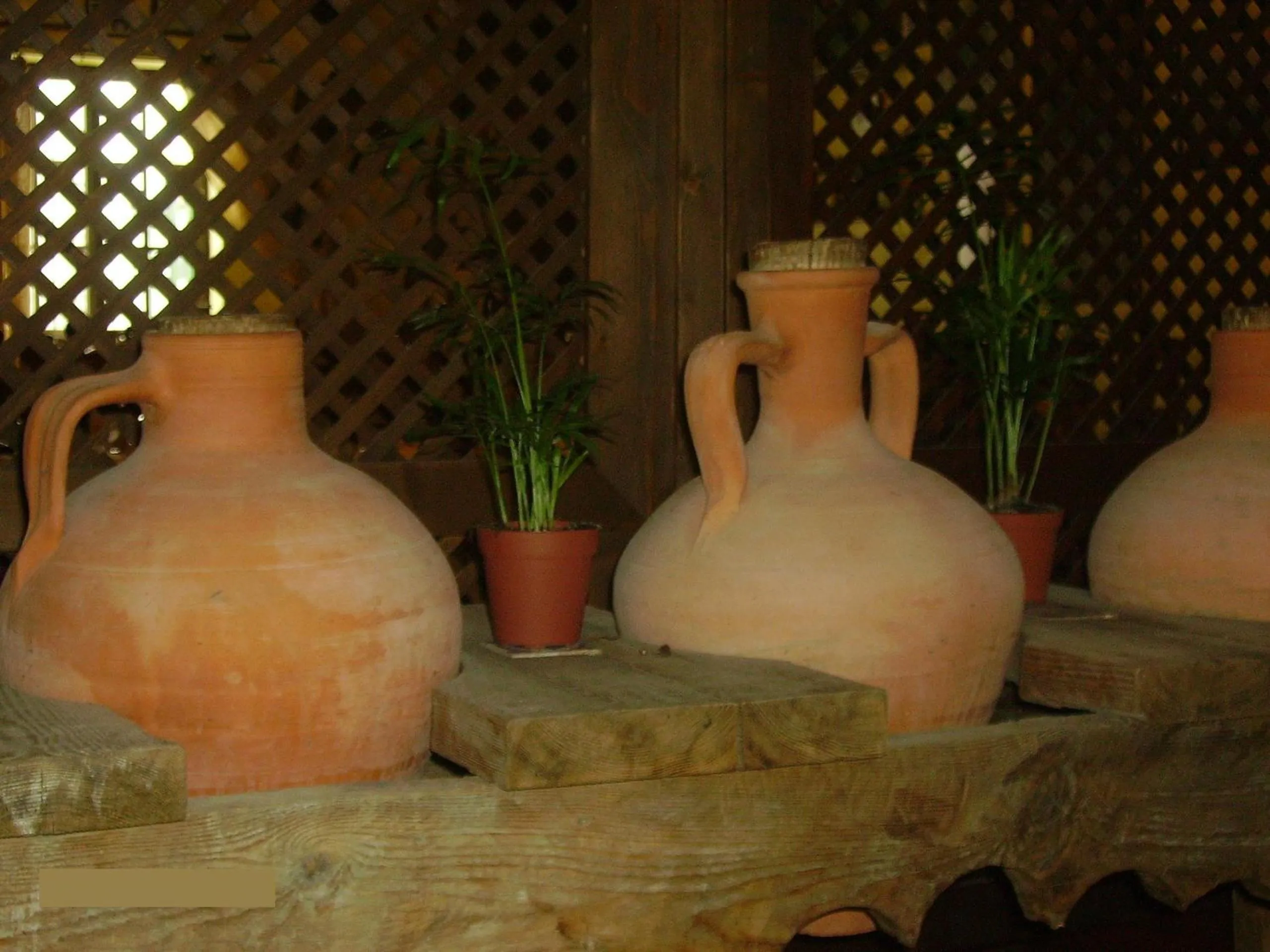 Restaurant/places to eat in El Rancho