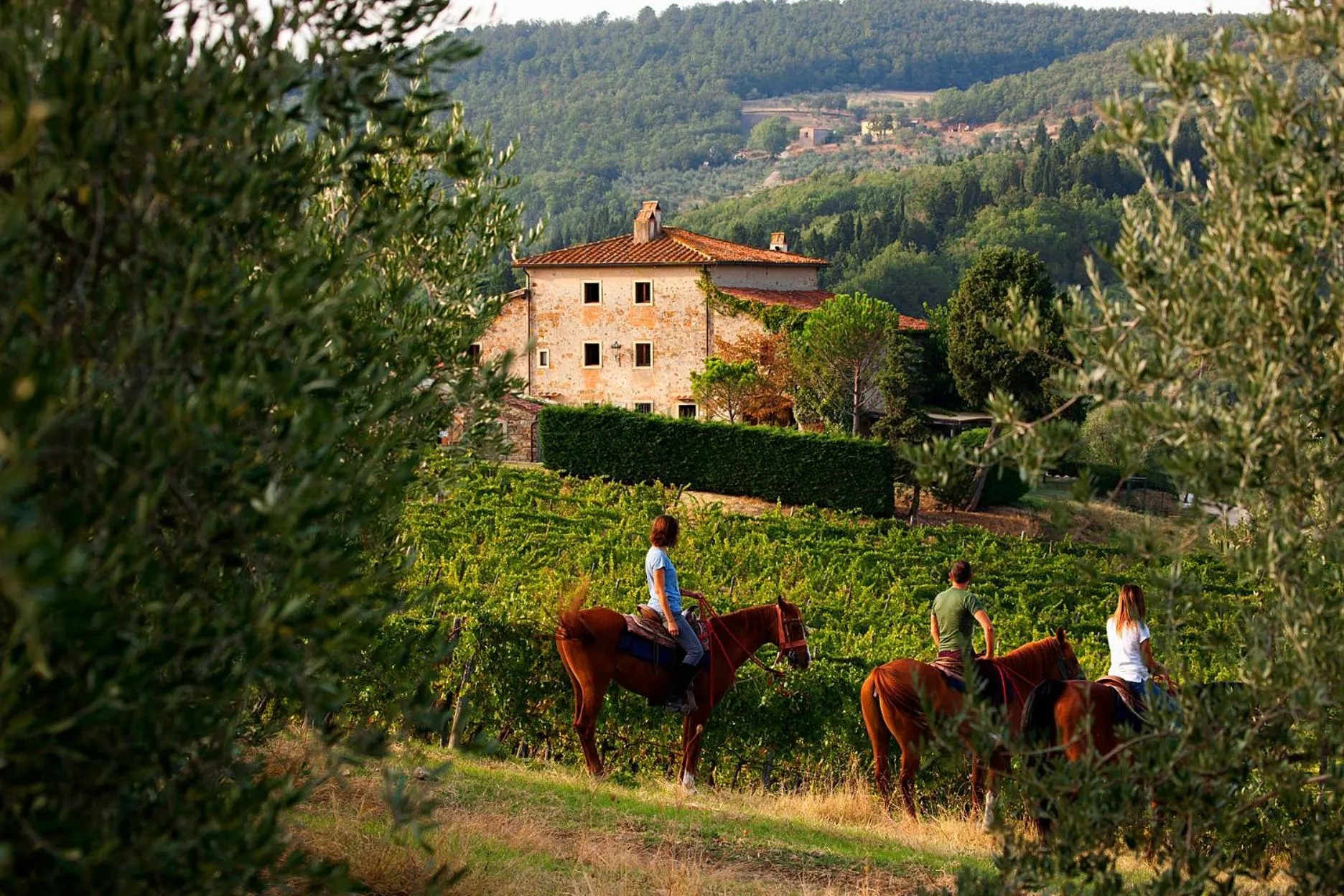 Day in Florence Winery AgriResort - Fattoria Lavacchio
