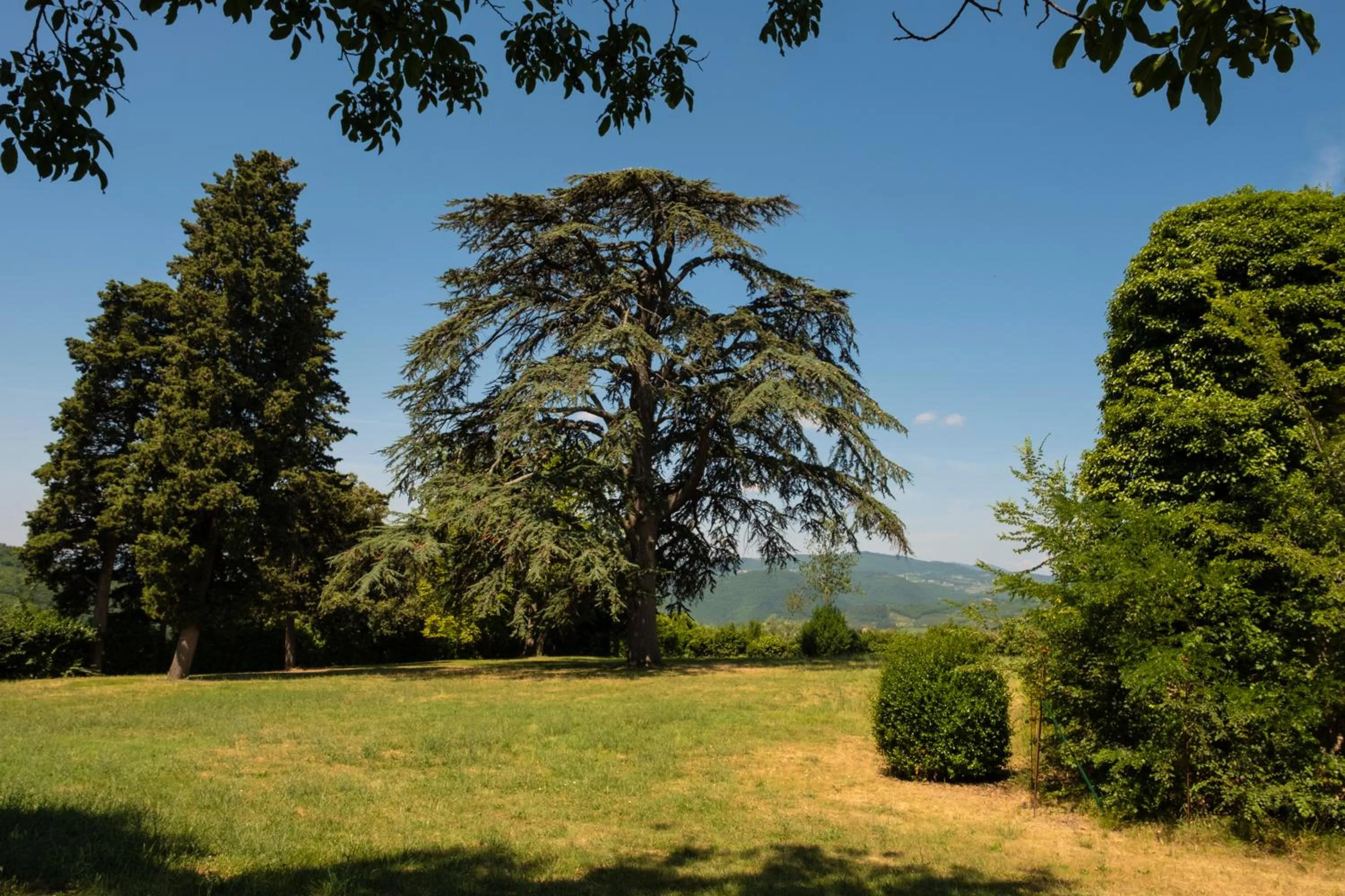 Natural landscape in Florence Winery AgriResort - Fattoria Lavacchio