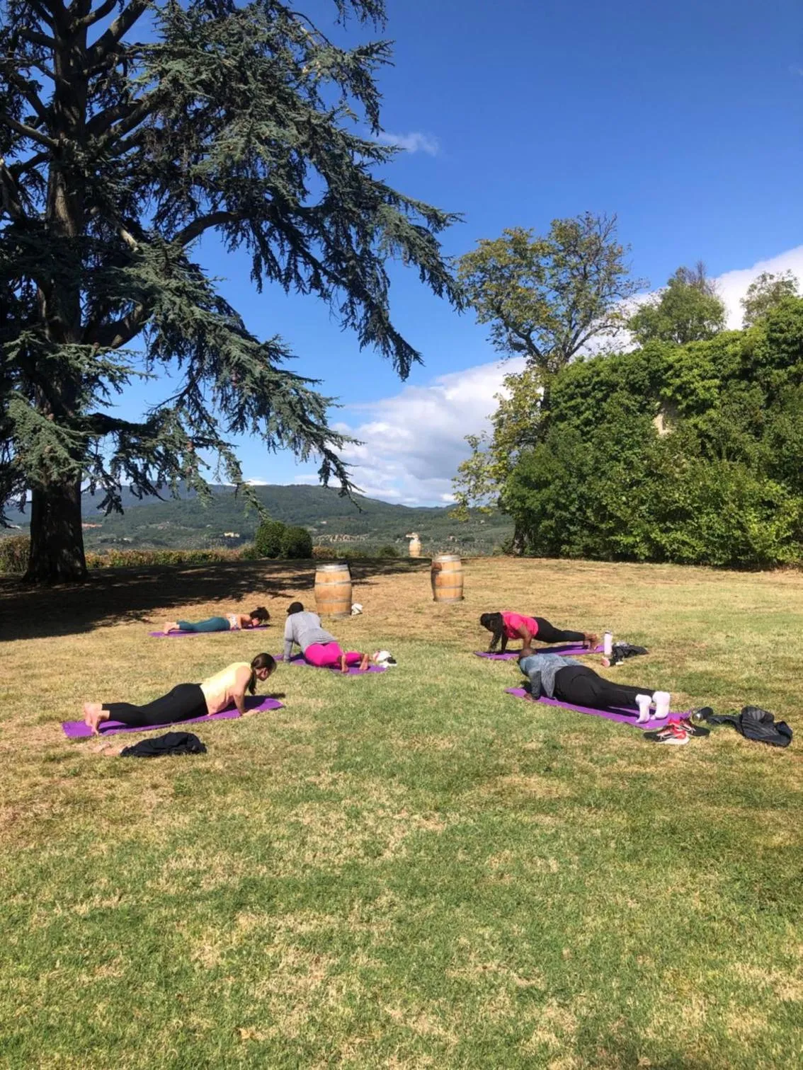 Natural landscape in Florence Winery AgriResort - Fattoria Lavacchio