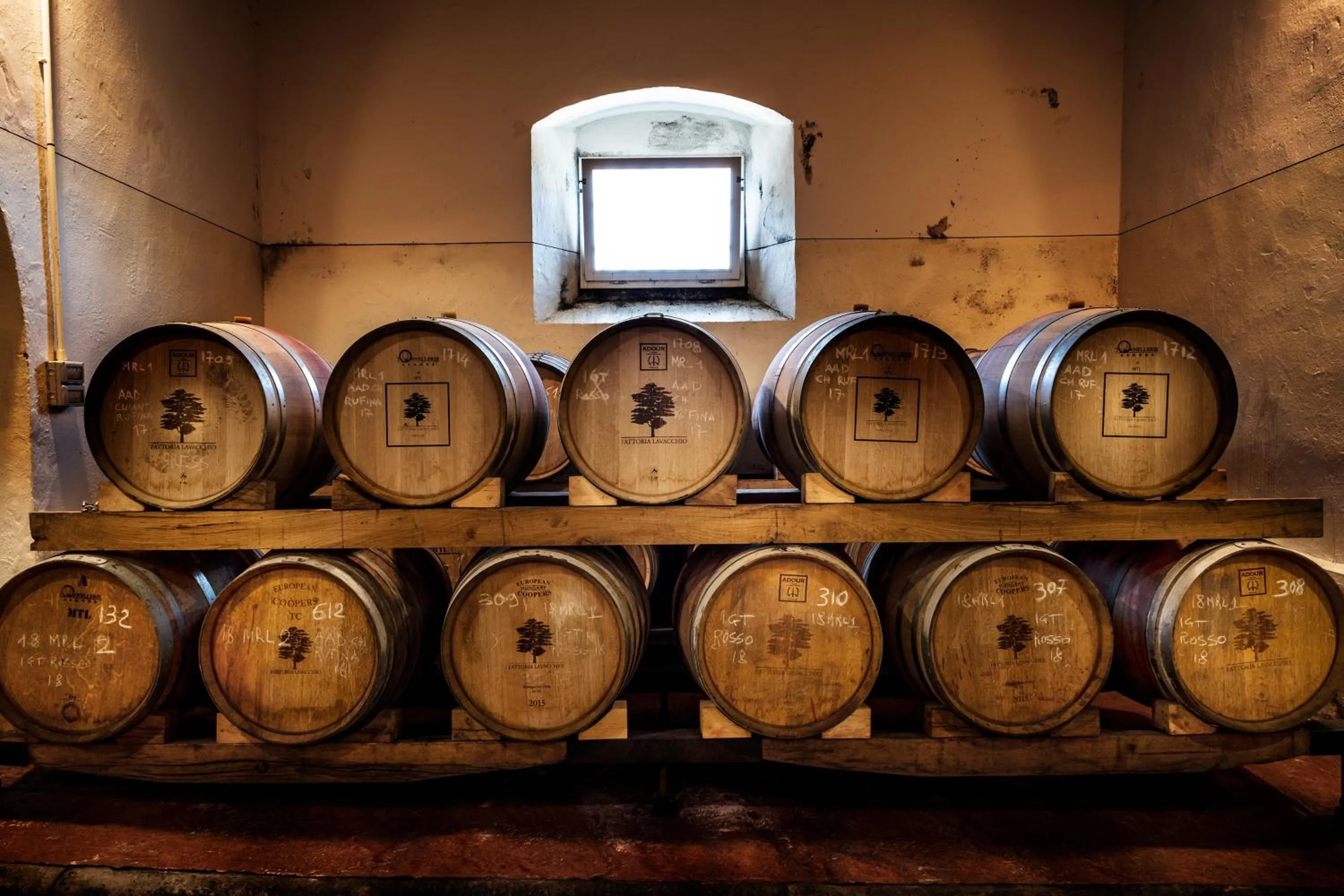 Activities in Florence Winery AgriResort - Fattoria Lavacchio