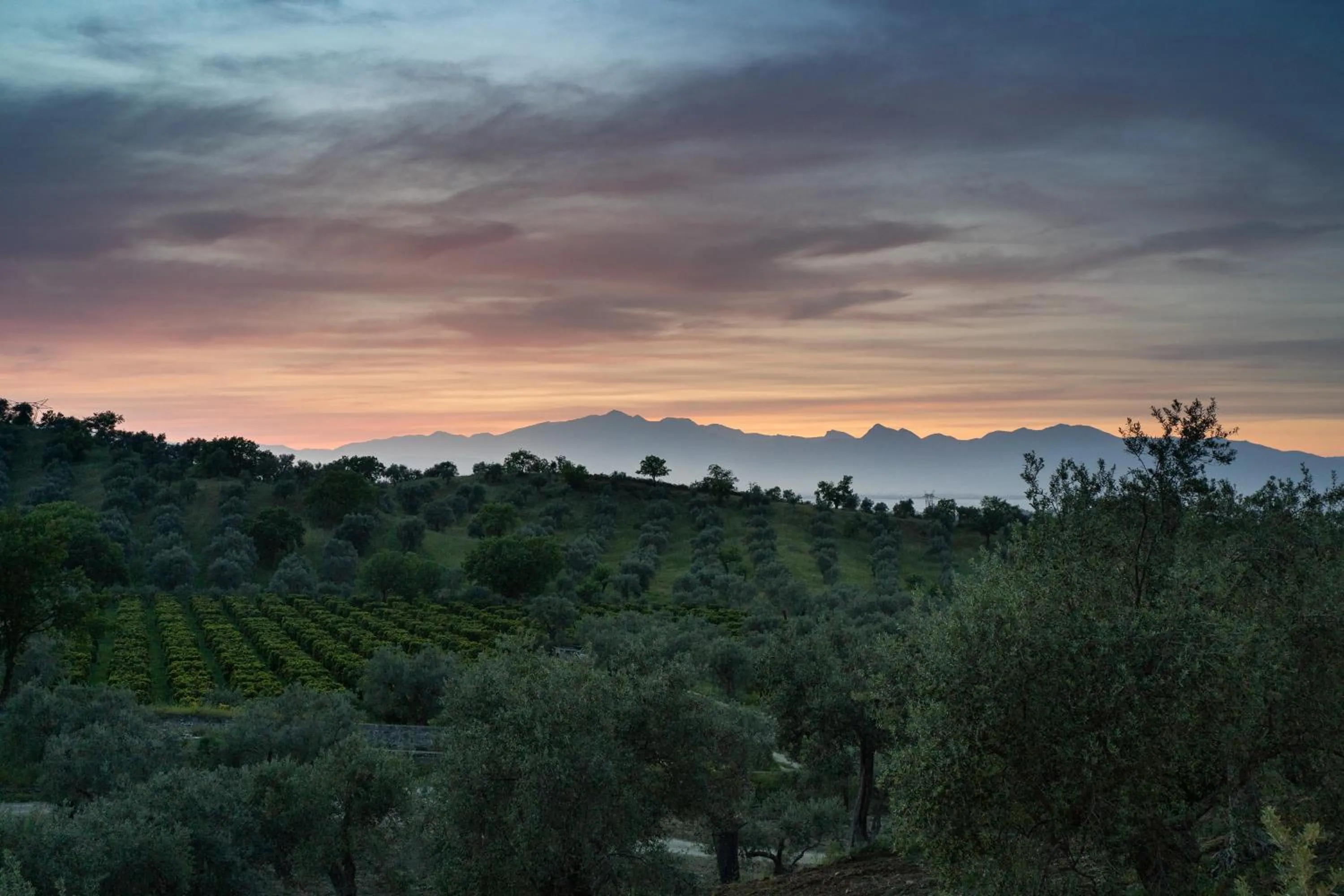 Mountain view in Tenuta Ciminata Greco
