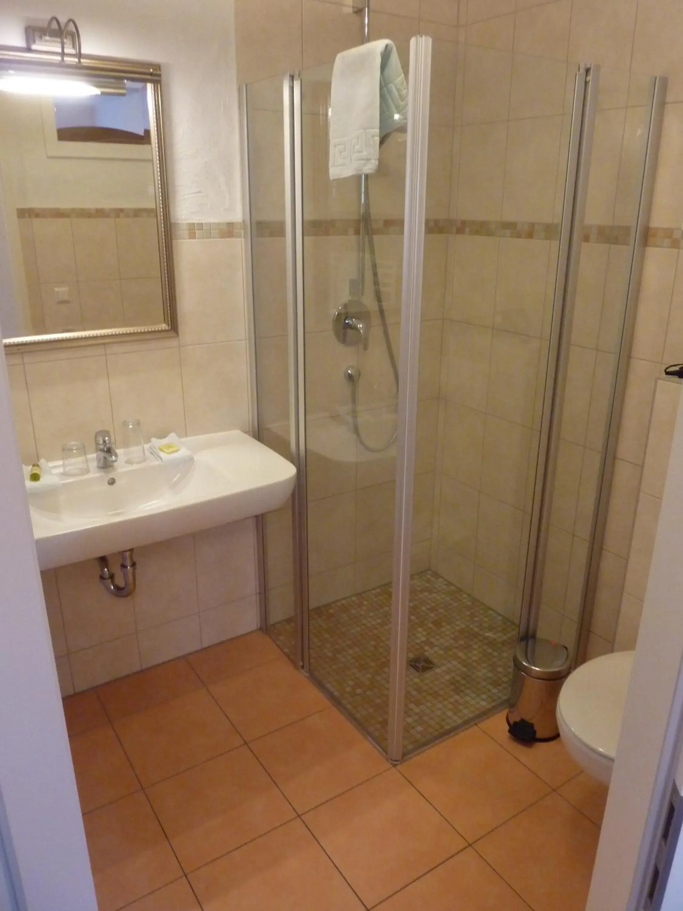 Double Room - single occupancy in Zum Schlangenkönig Double Room - single occupancy in Zum Schlangenkönig