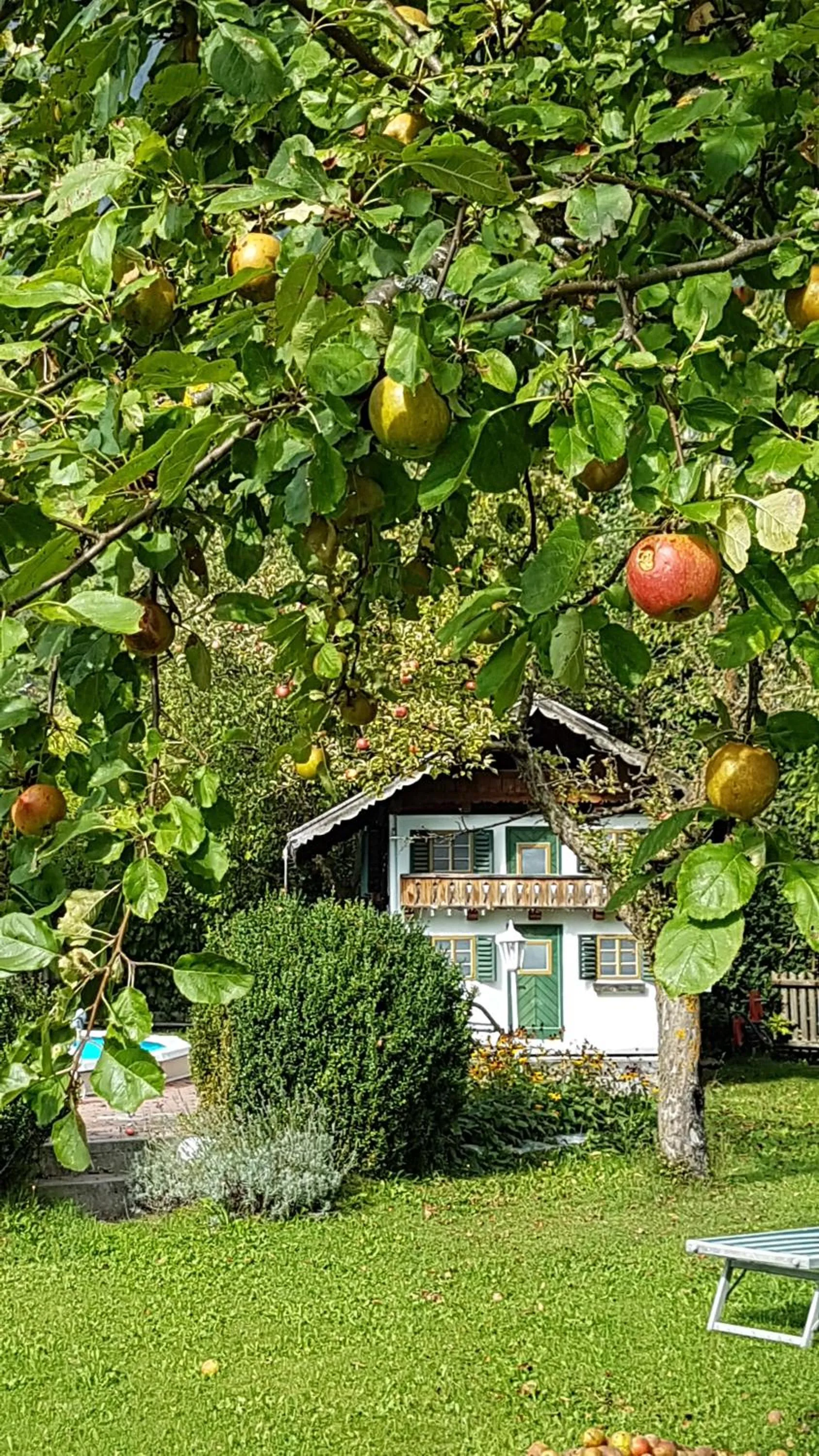 Garden view in Landhotel Jäger TOP