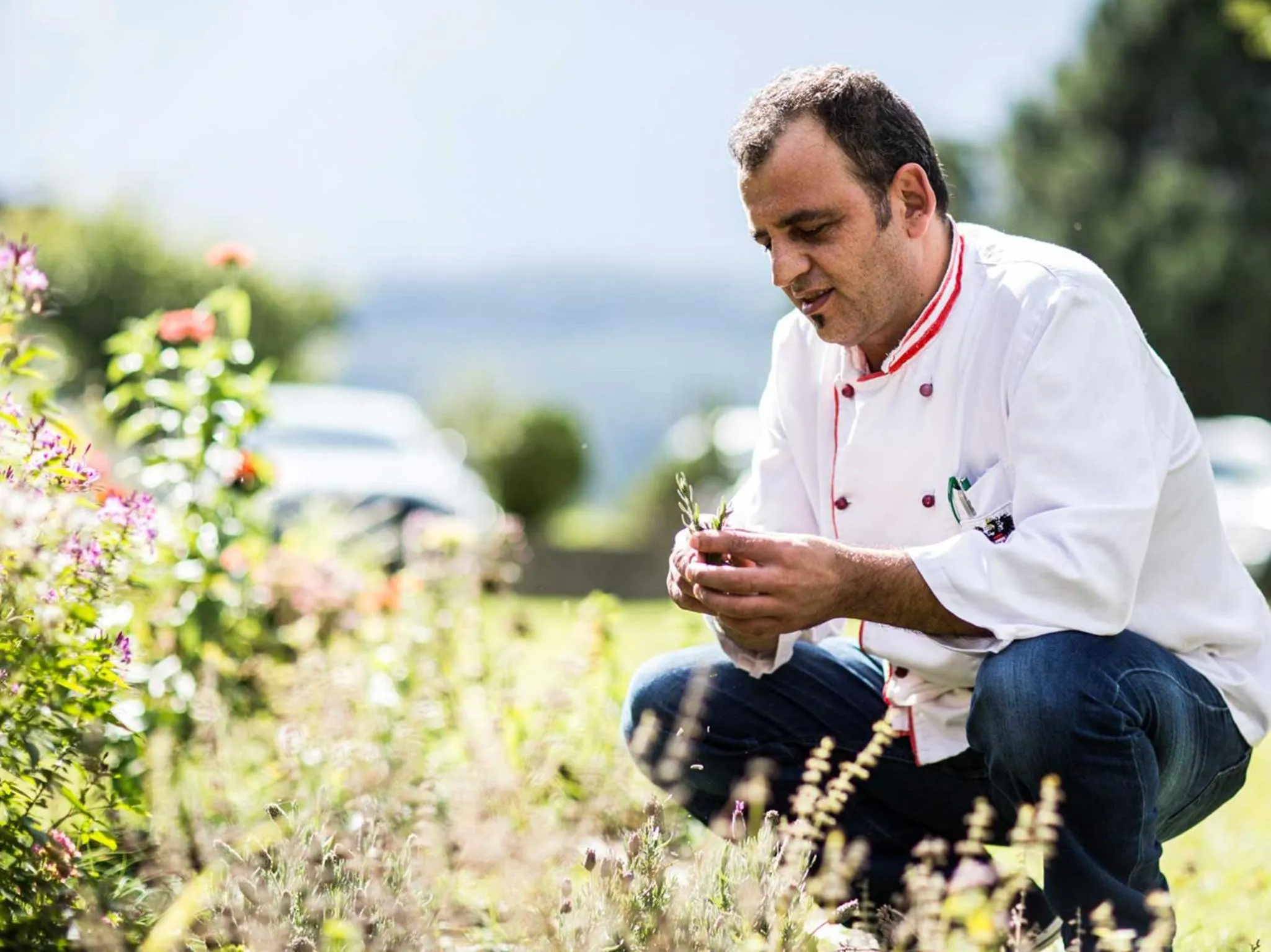 Garden view in Landhotel Jäger TOP