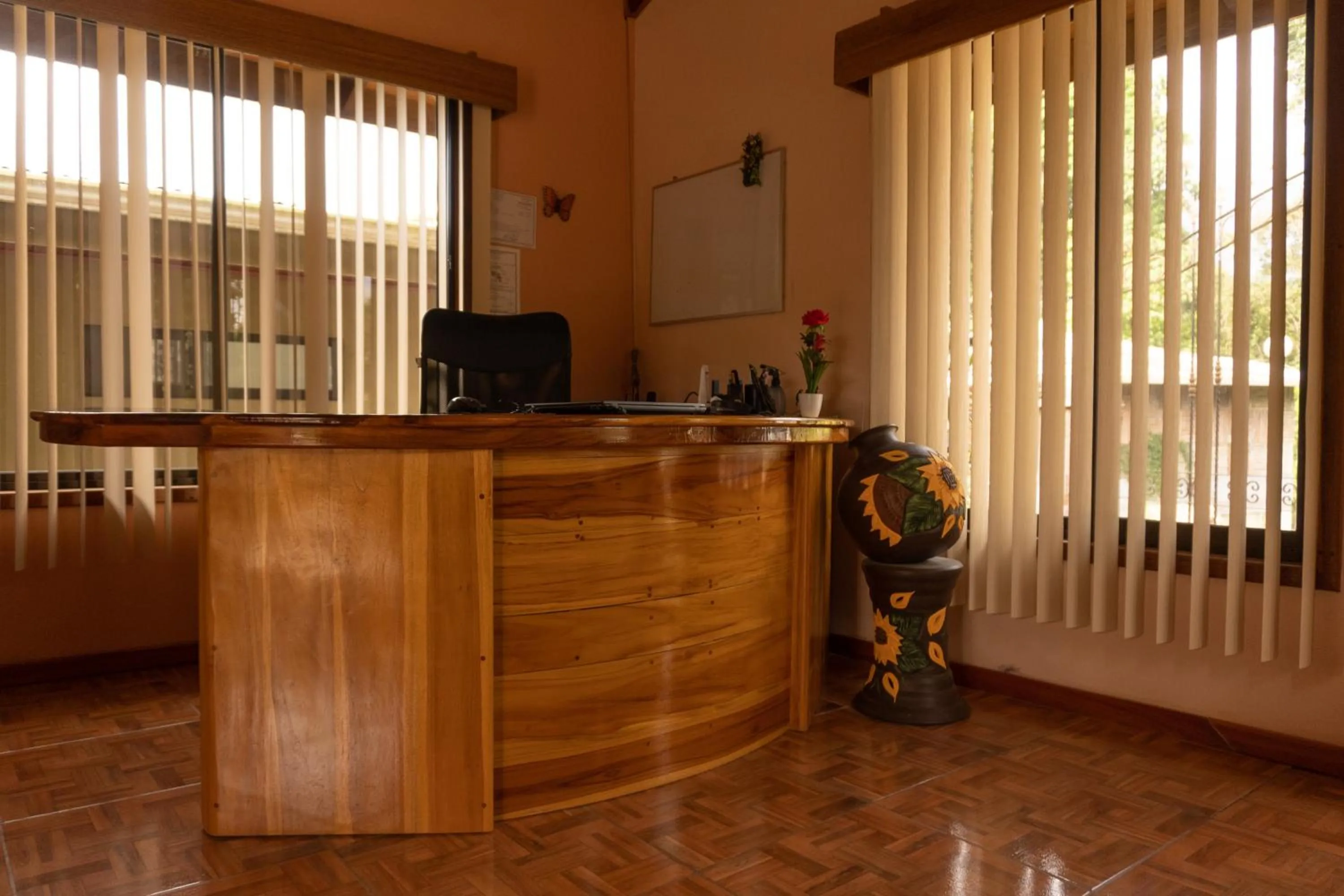 Jacamar Corcovado Drake Bay