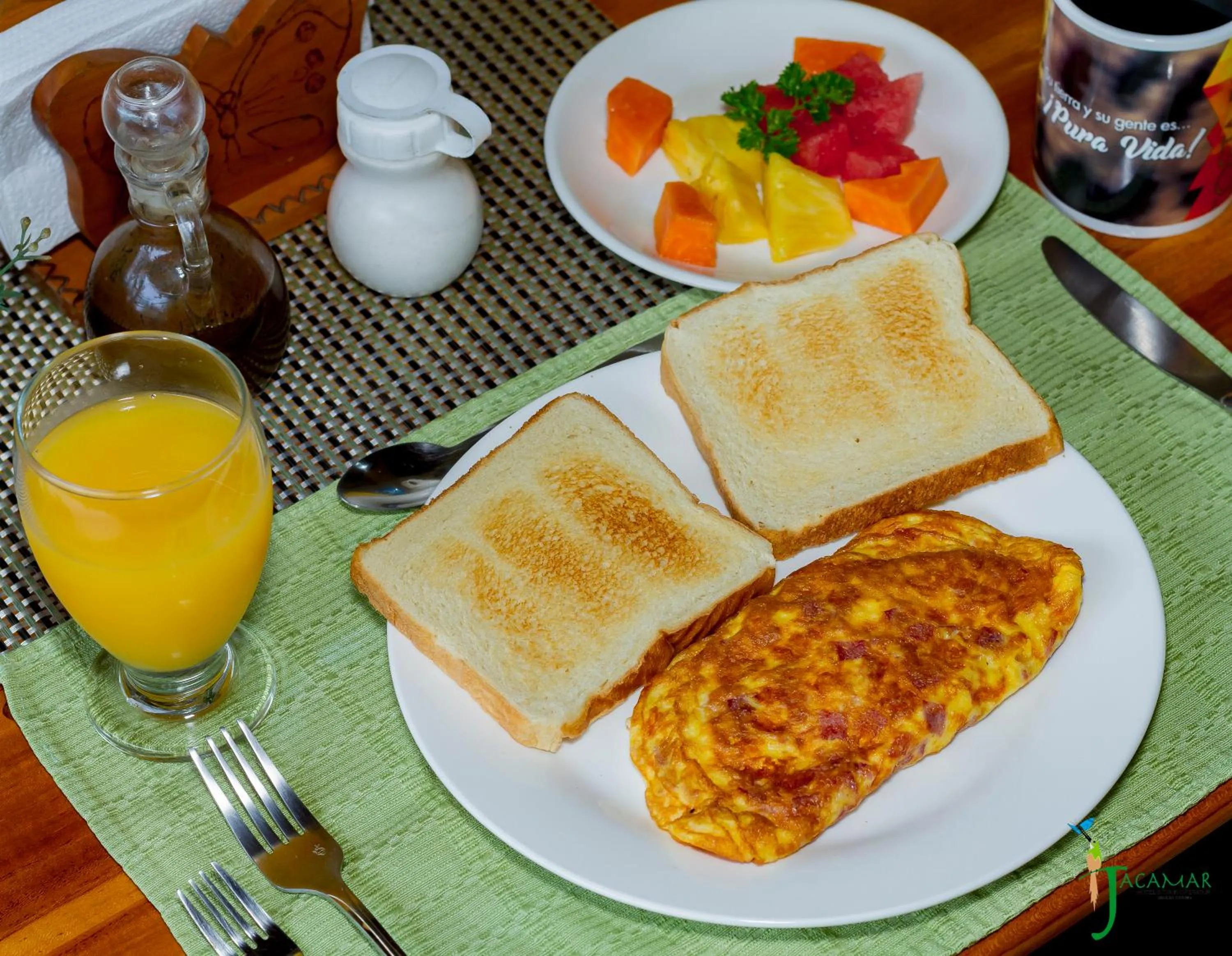 Jacamar Corcovado Drake Bay