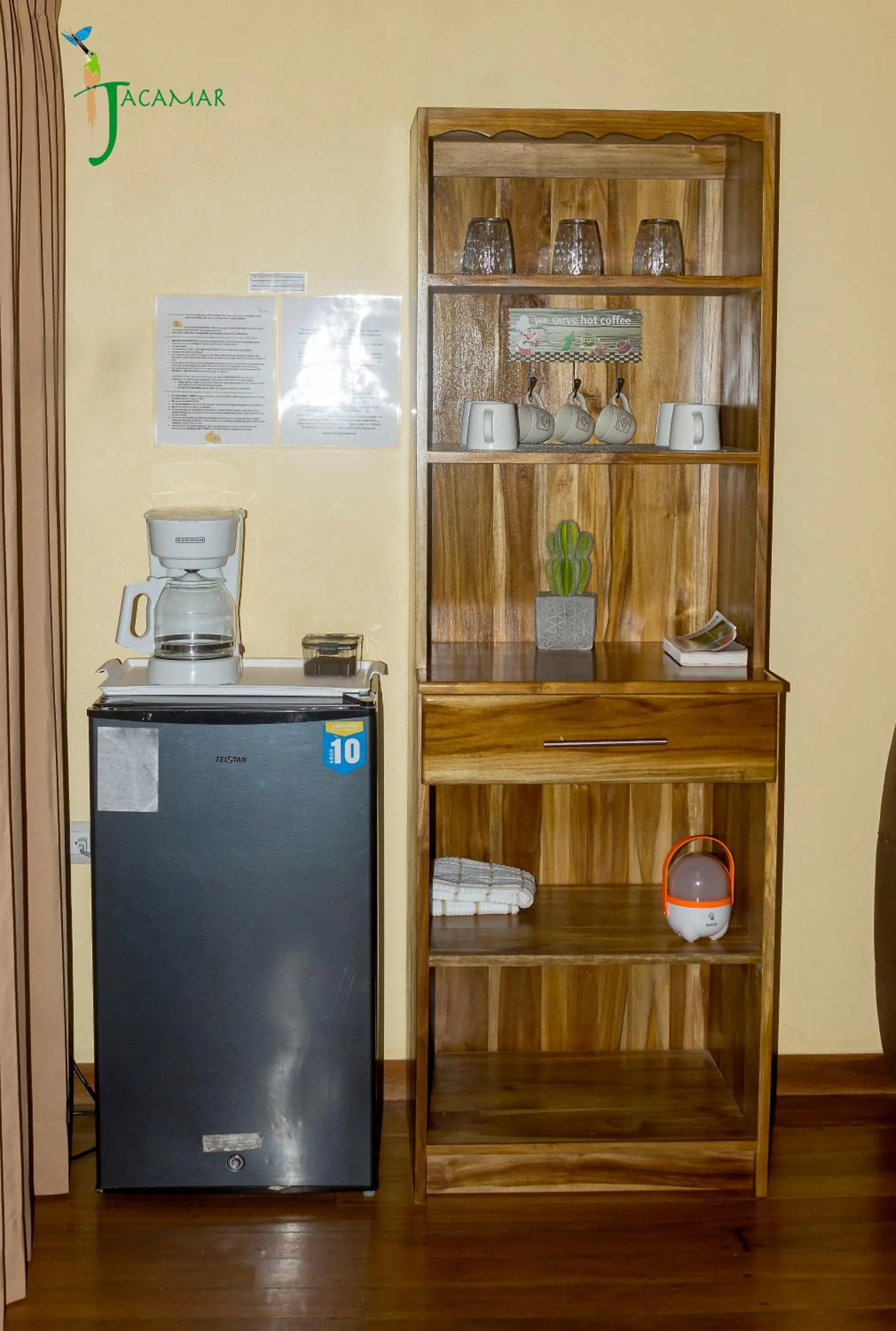 Jacamar Corcovado Drake Bay