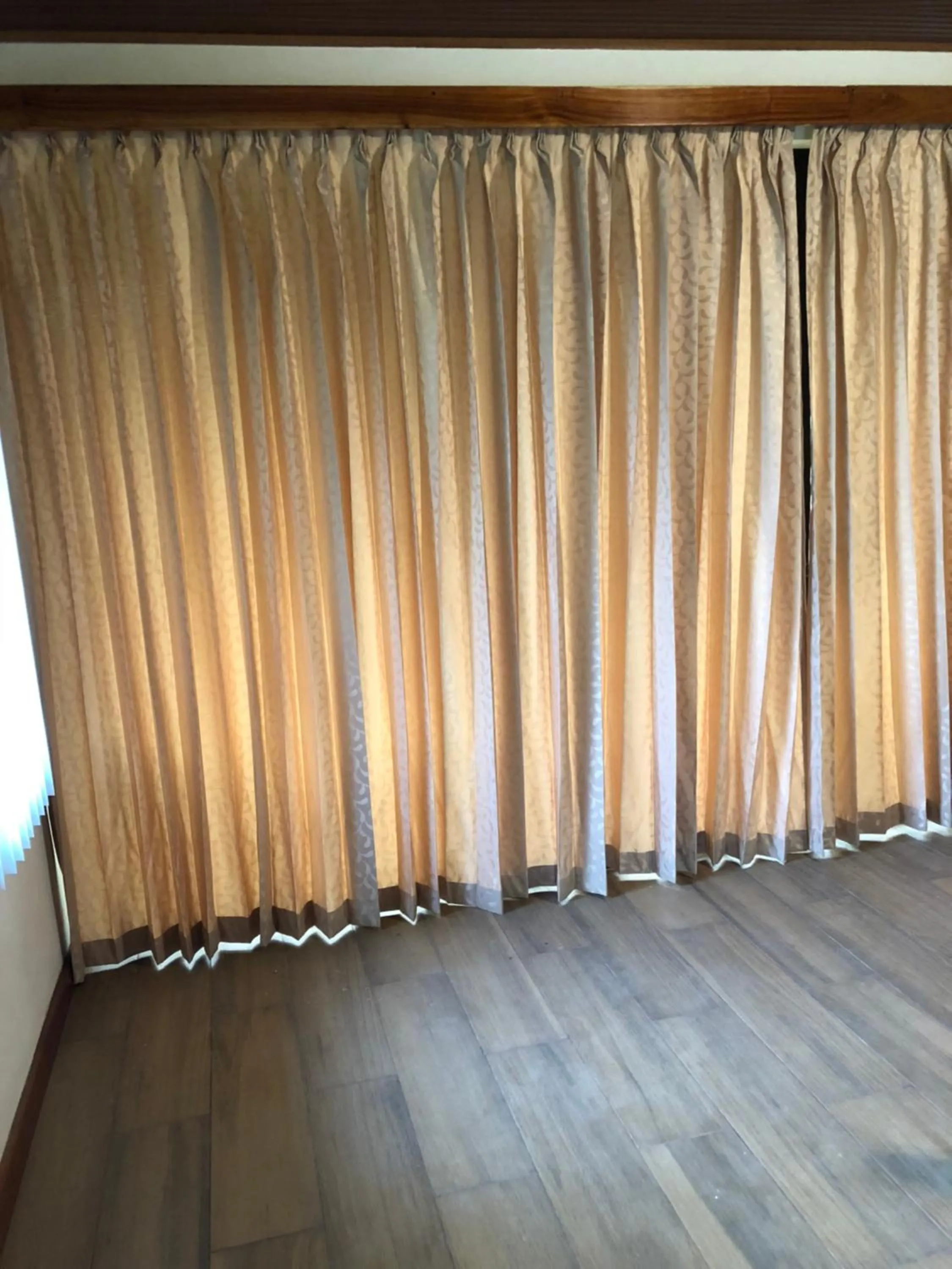 Jacamar Corcovado Drake Bay