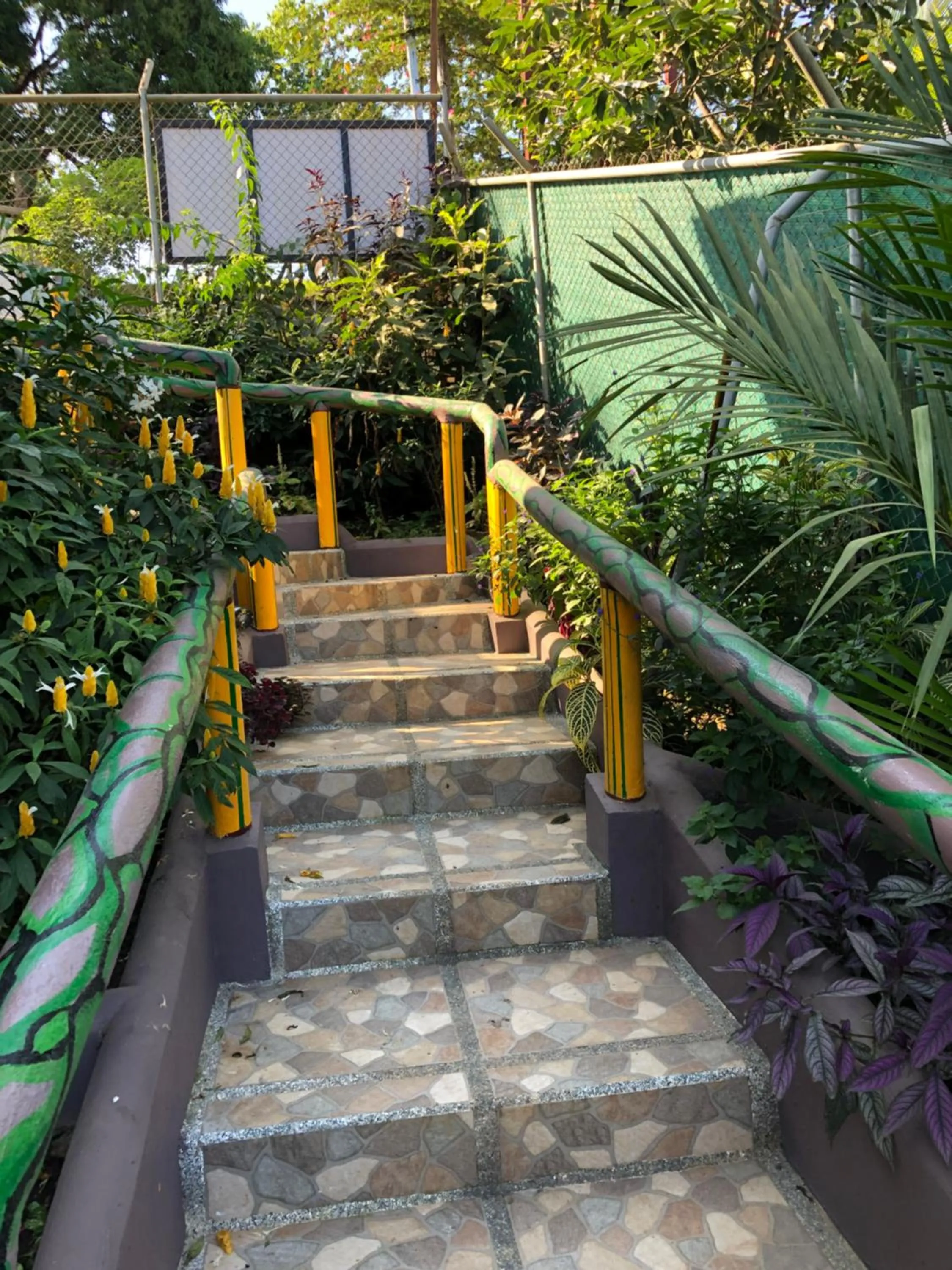 Garden in Jacamar Corcovado Drake Bay