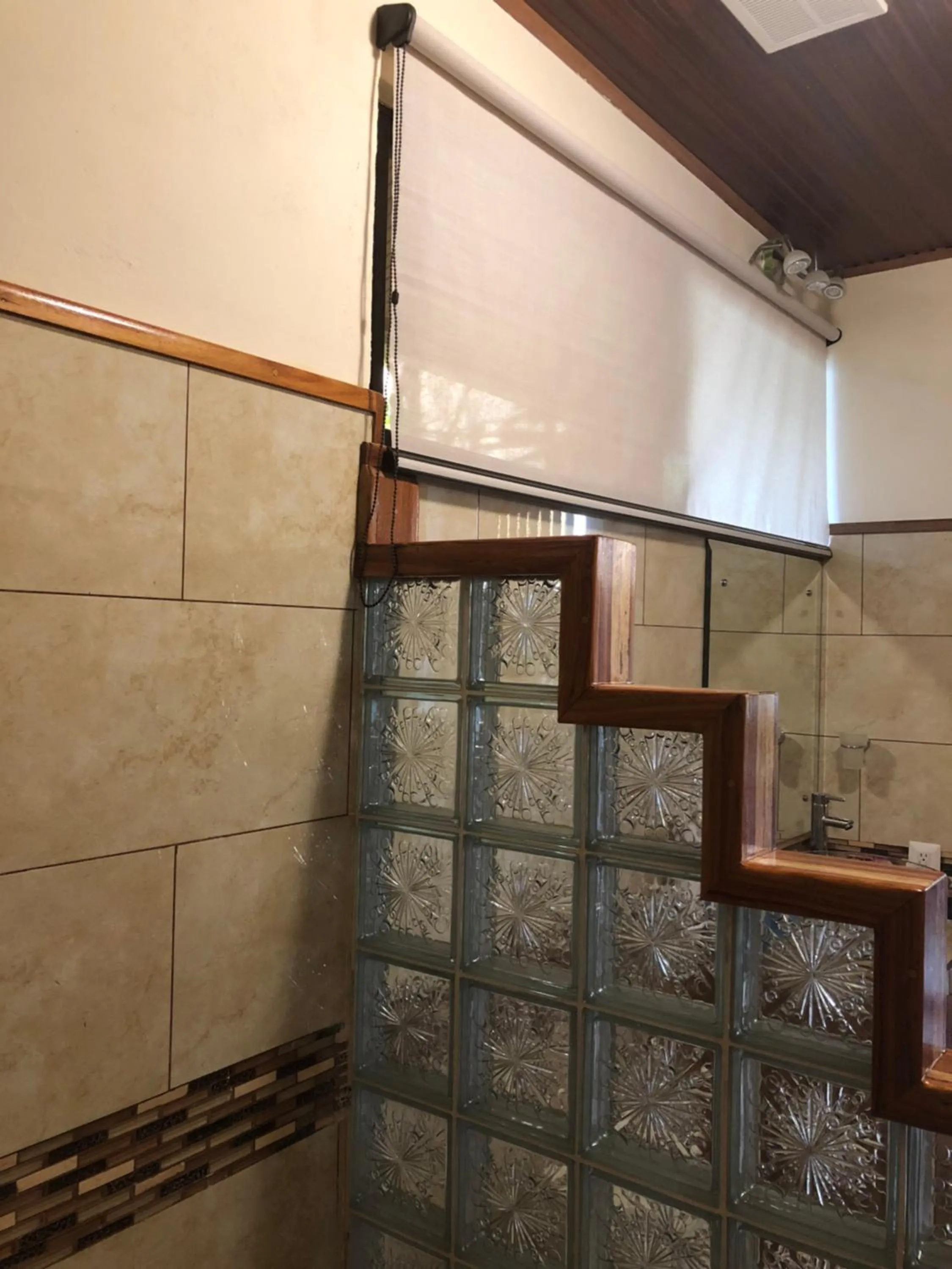 Jacamar Corcovado Drake Bay