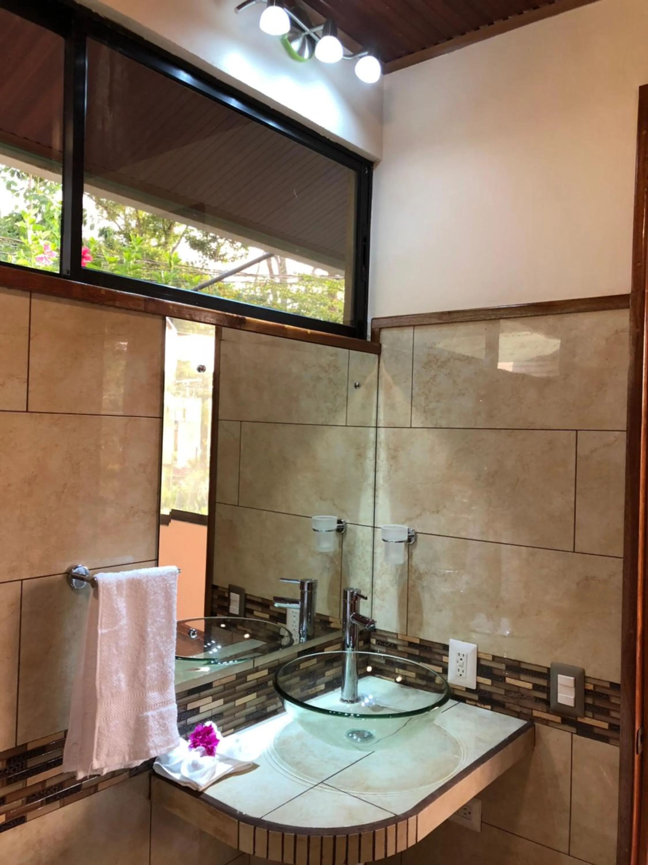 Jacamar Corcovado Drake Bay