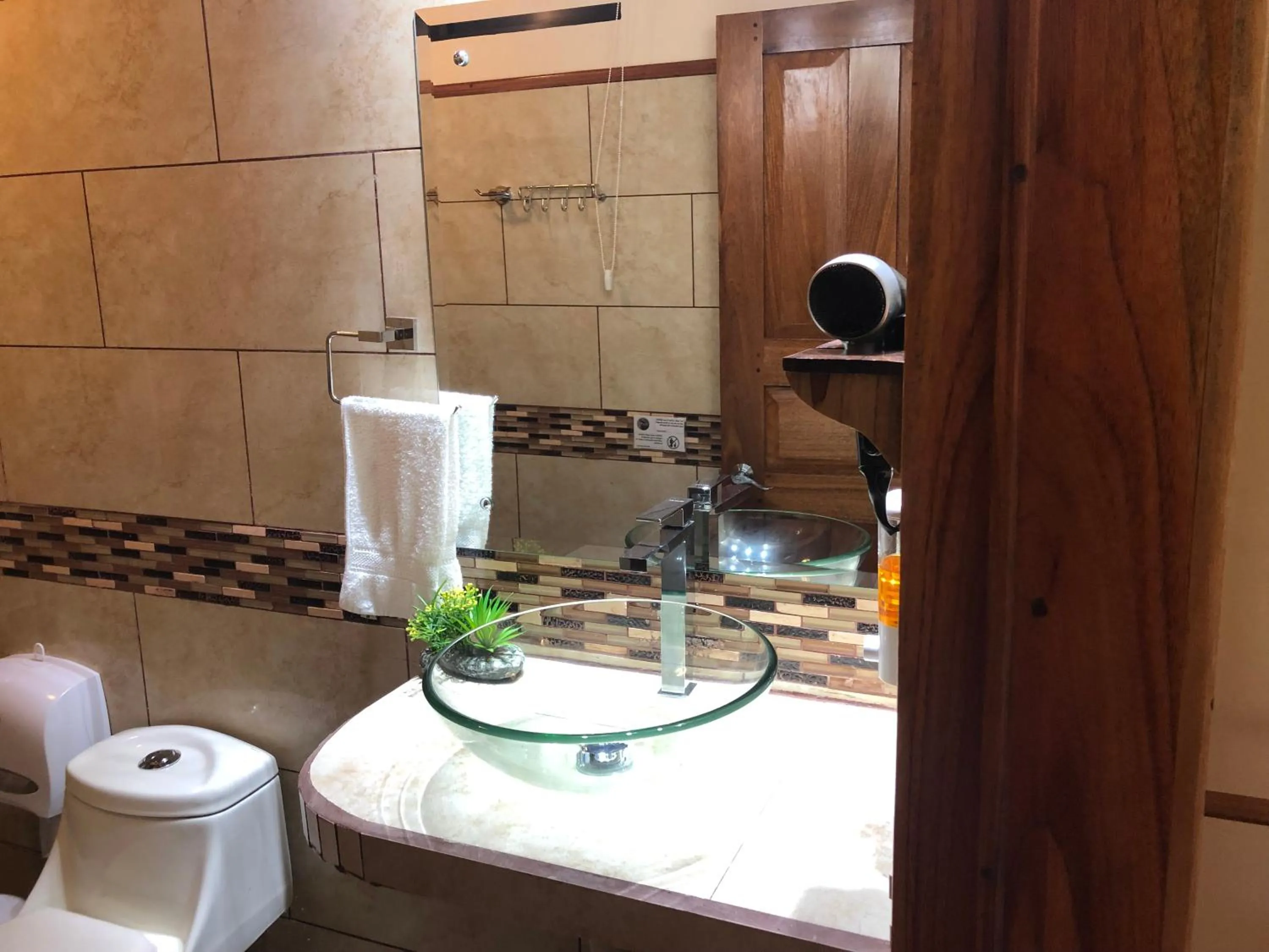 Jacamar Corcovado Drake Bay