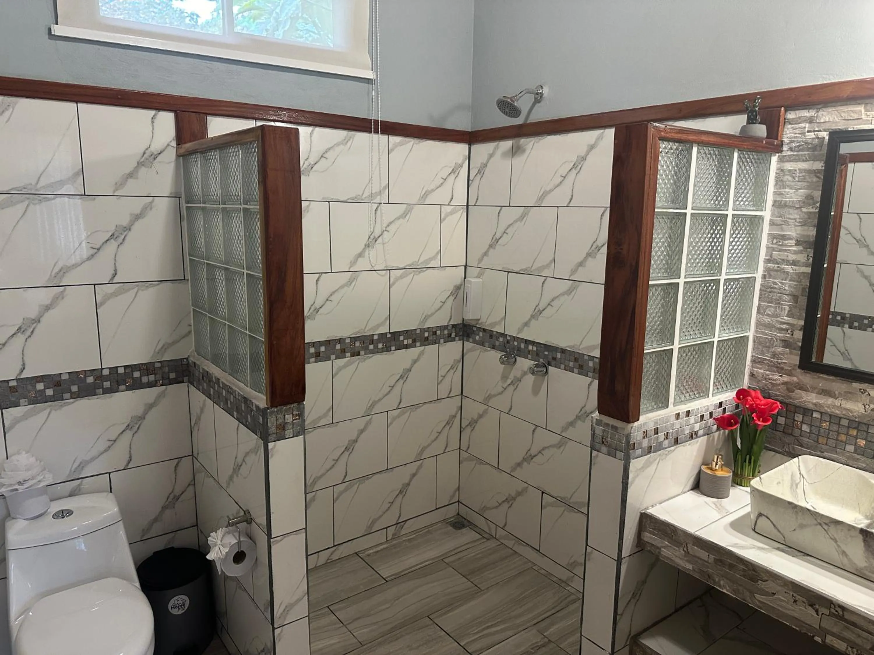 Jacamar Corcovado Drake Bay