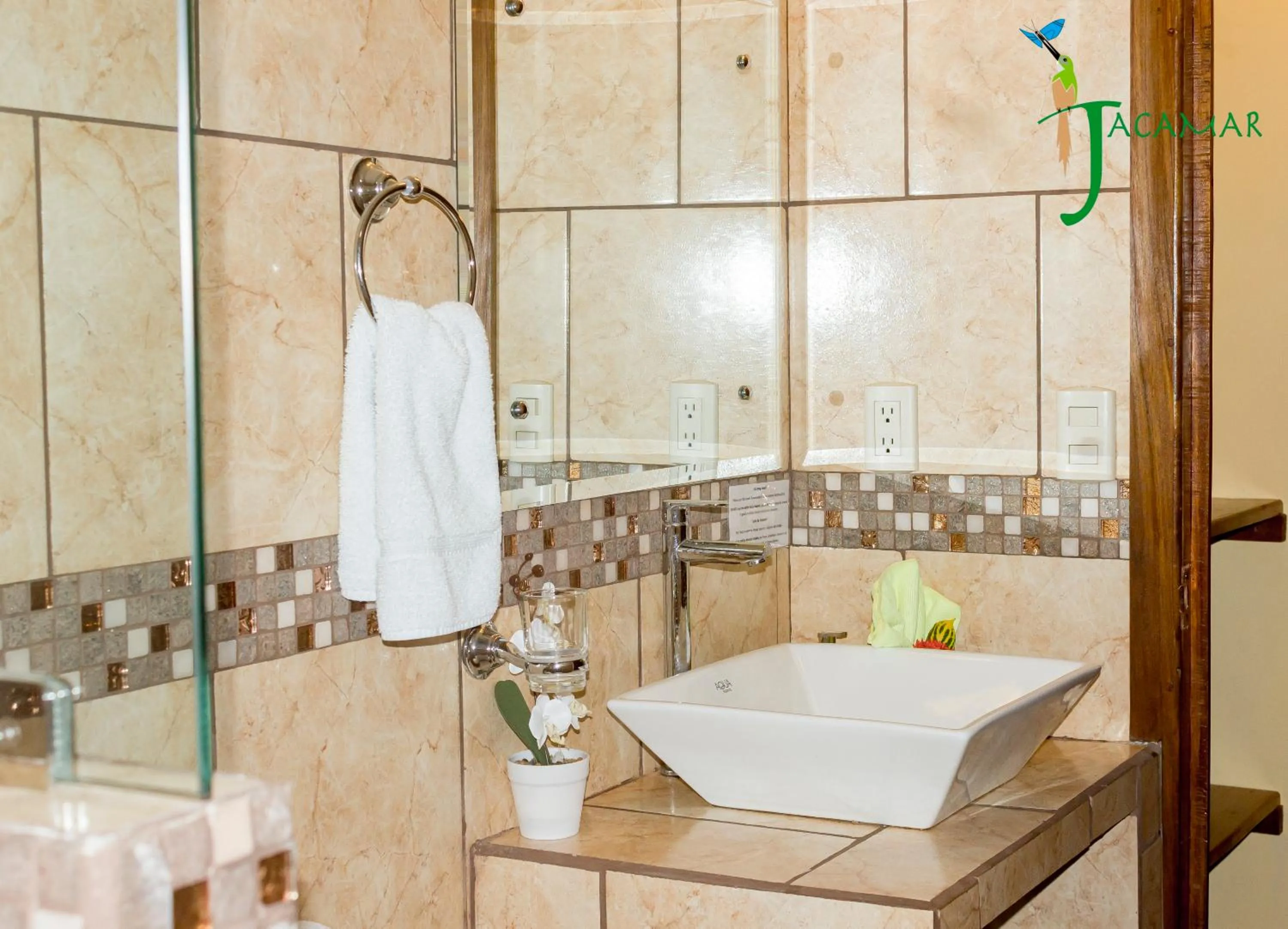 Jacamar Corcovado Drake Bay