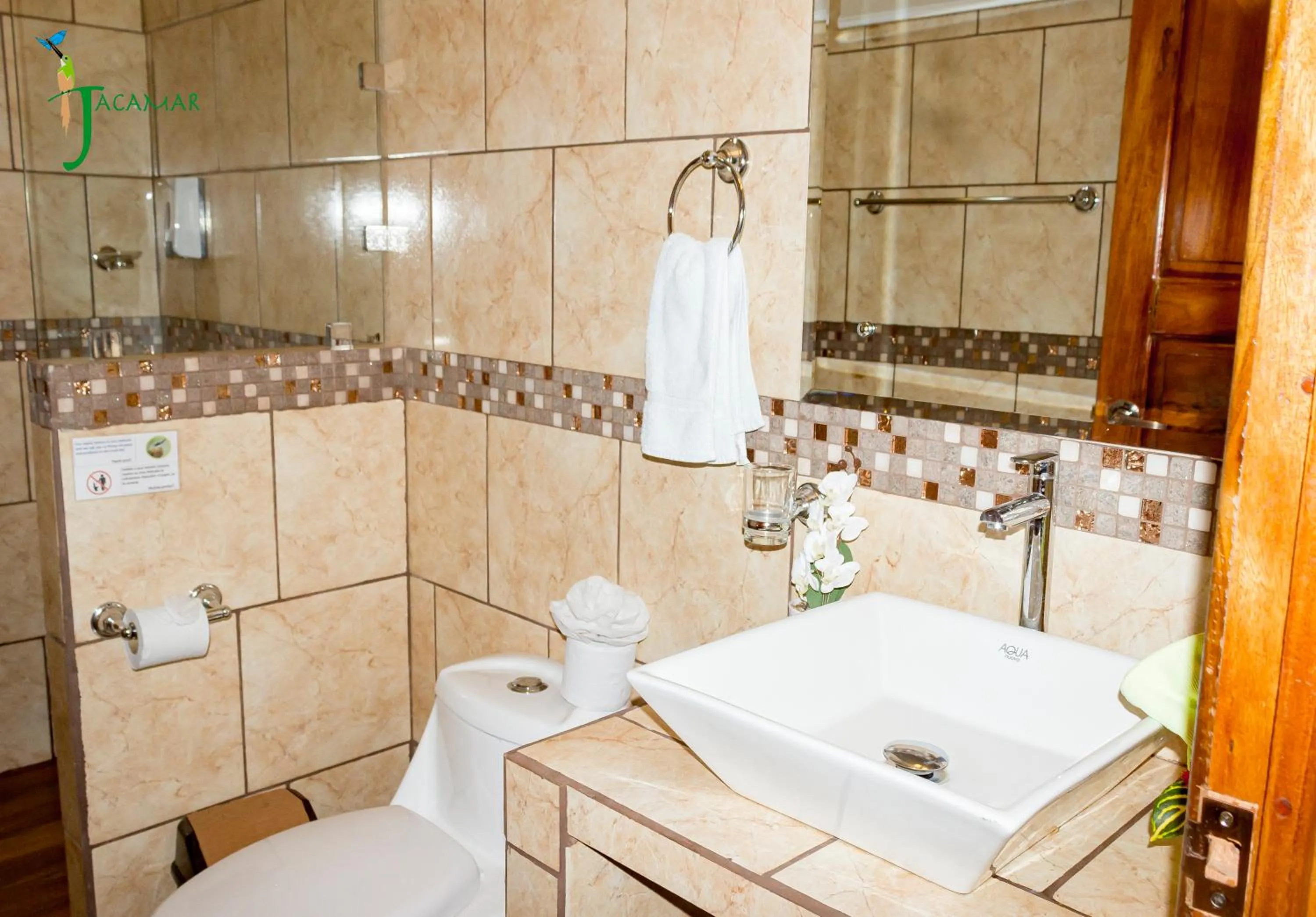 Jacamar Corcovado Drake Bay