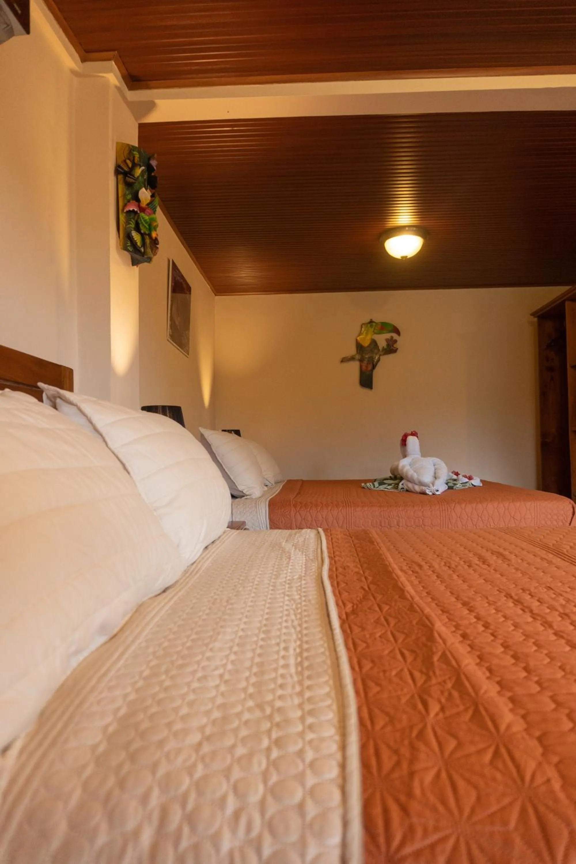 Bedroom, Bed in Jacamar Corcovado Drake Bay